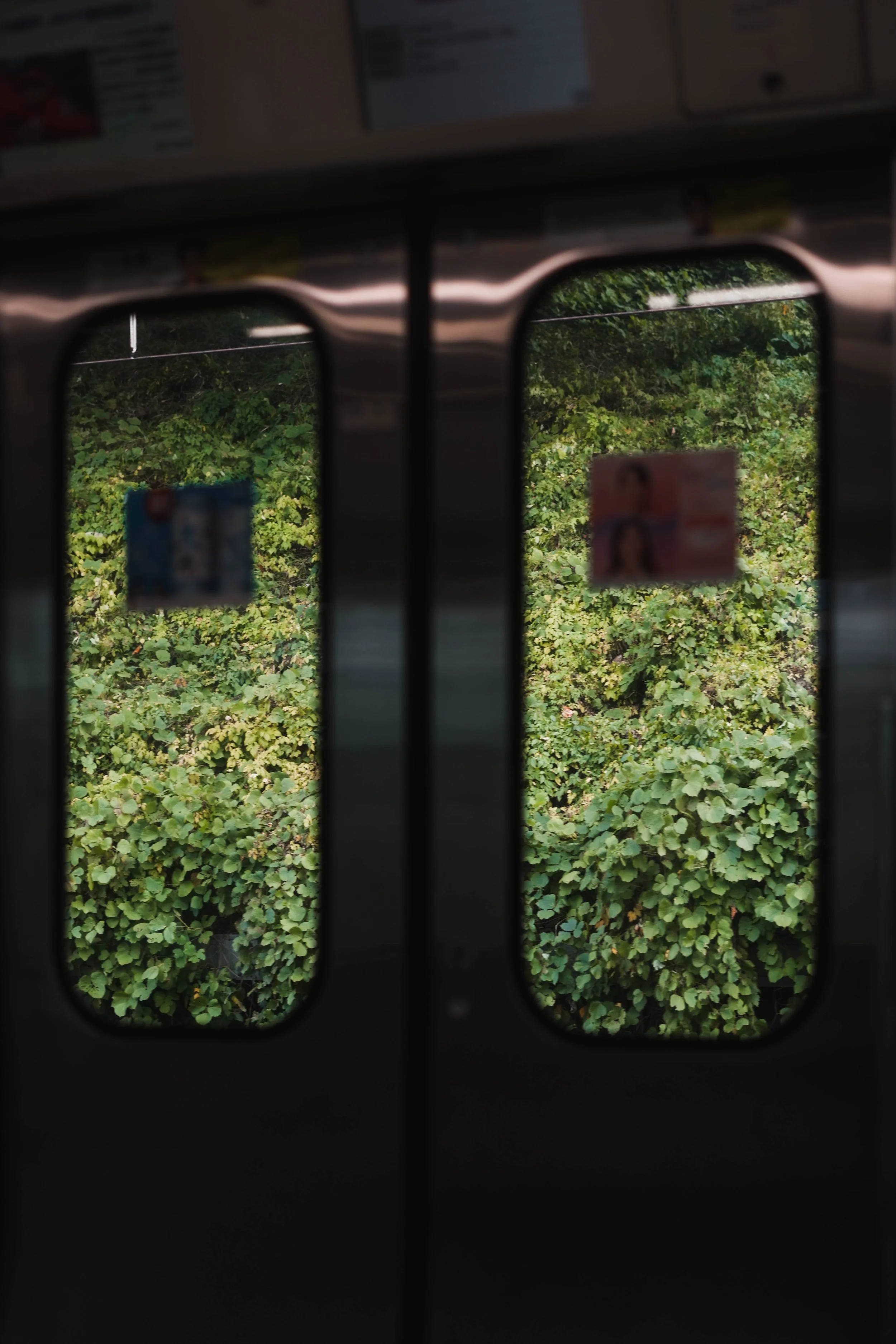 DSC05596-3.jpg