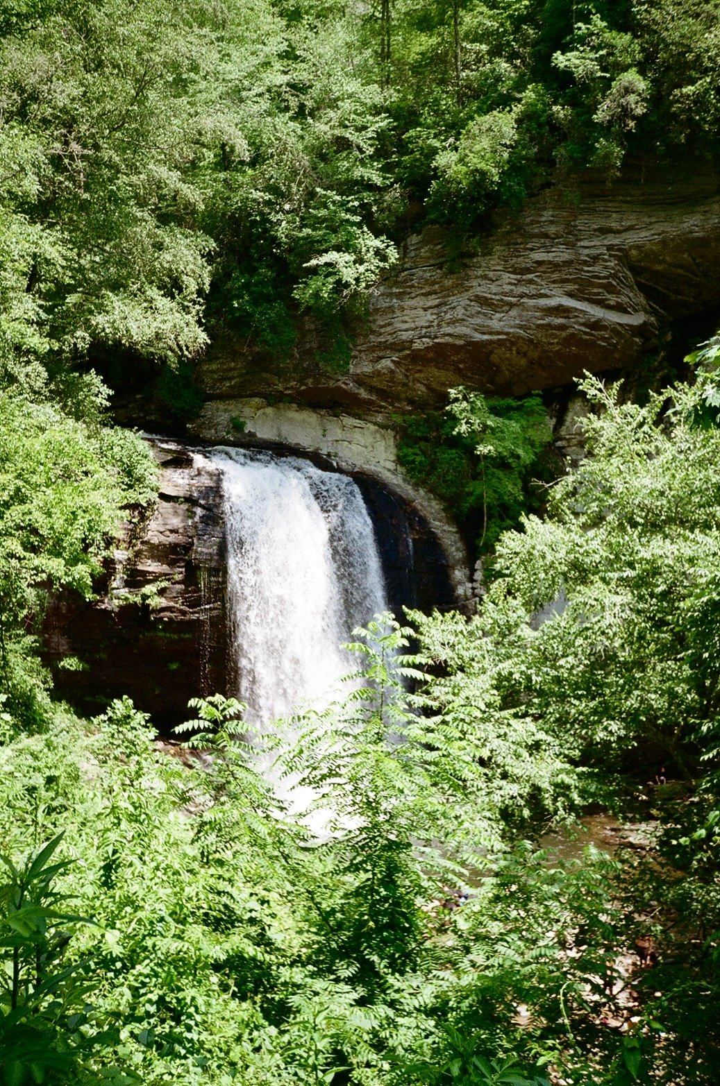 Pisgah National Forest, Asheville, NC.