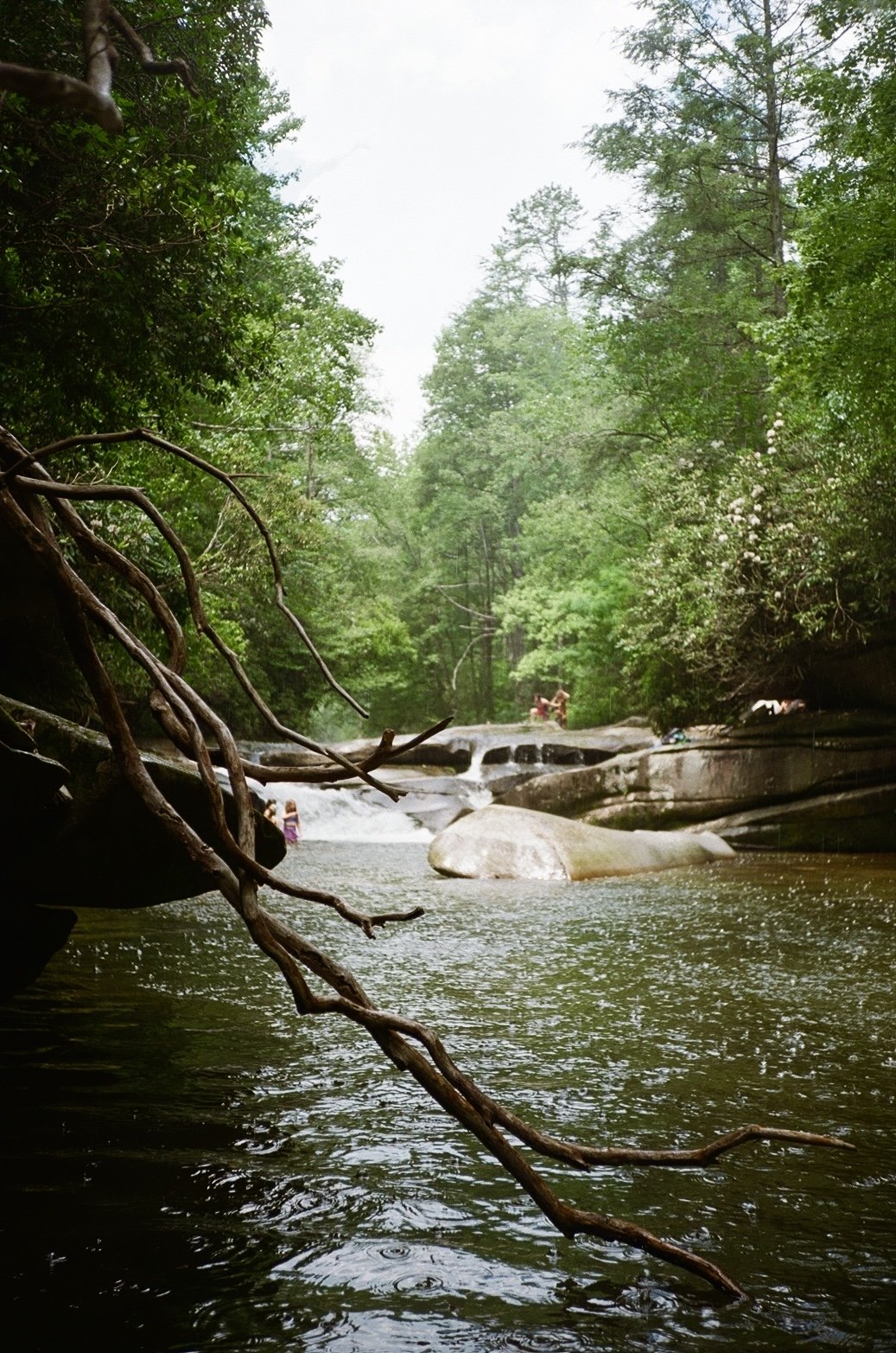 Pisgah National Forest, Asheville, NC.