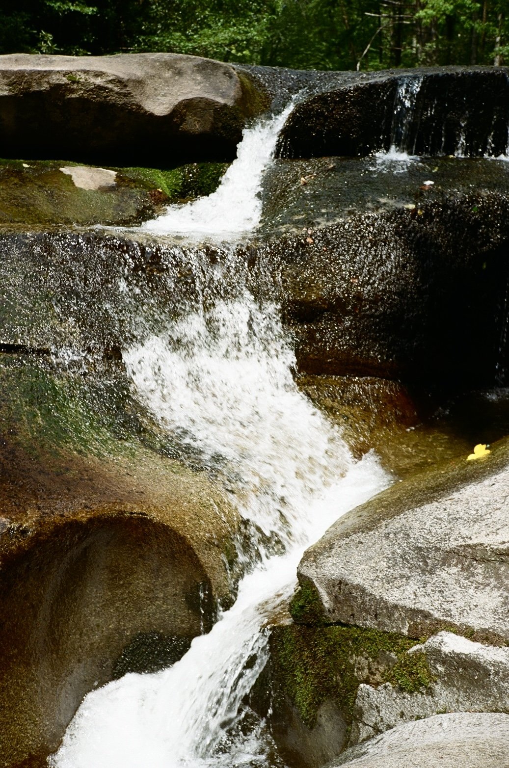 Pisgah National Forest, Asheville, NC.