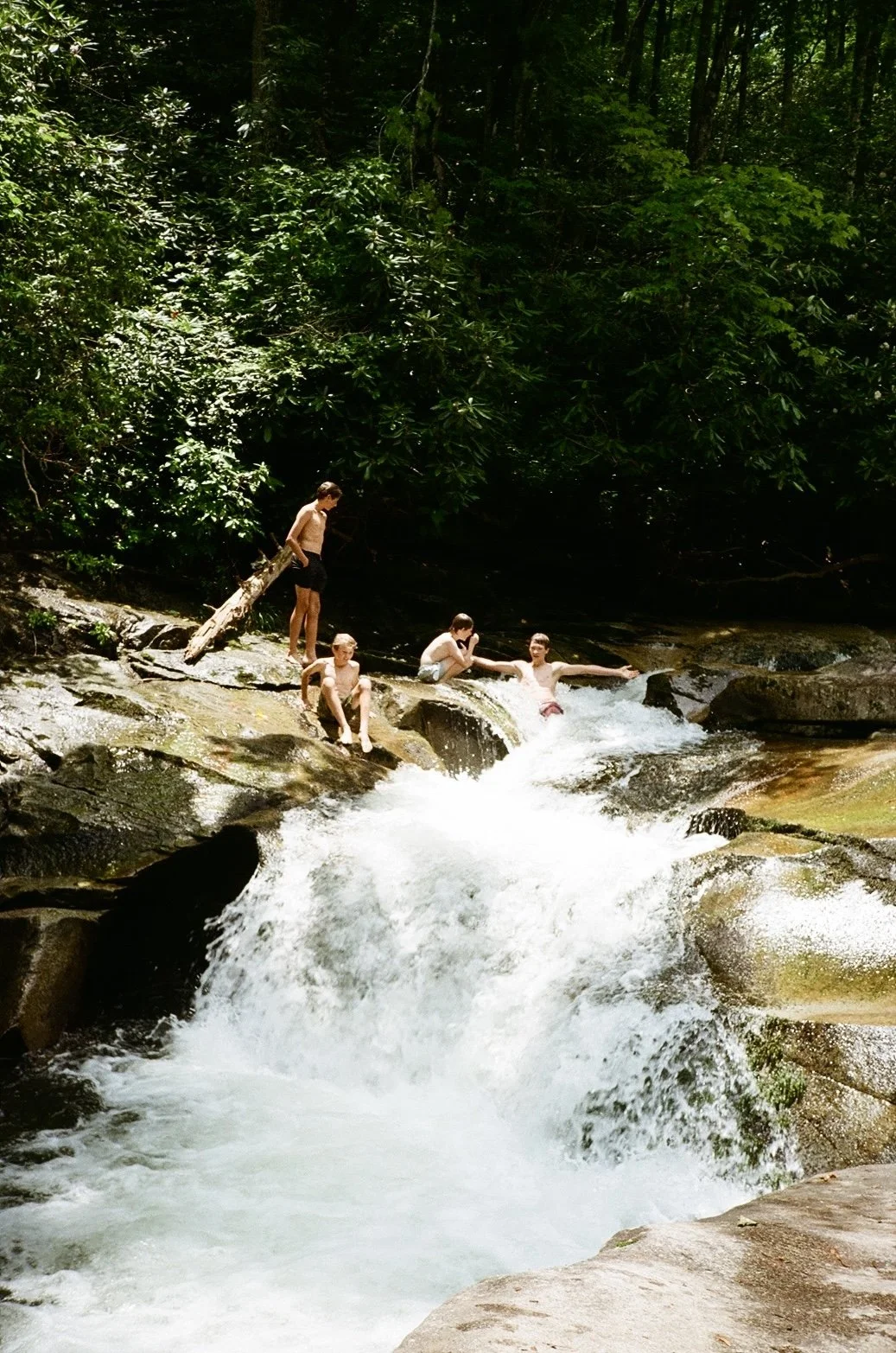 Pisgah National Forest, Asheville, NC. 