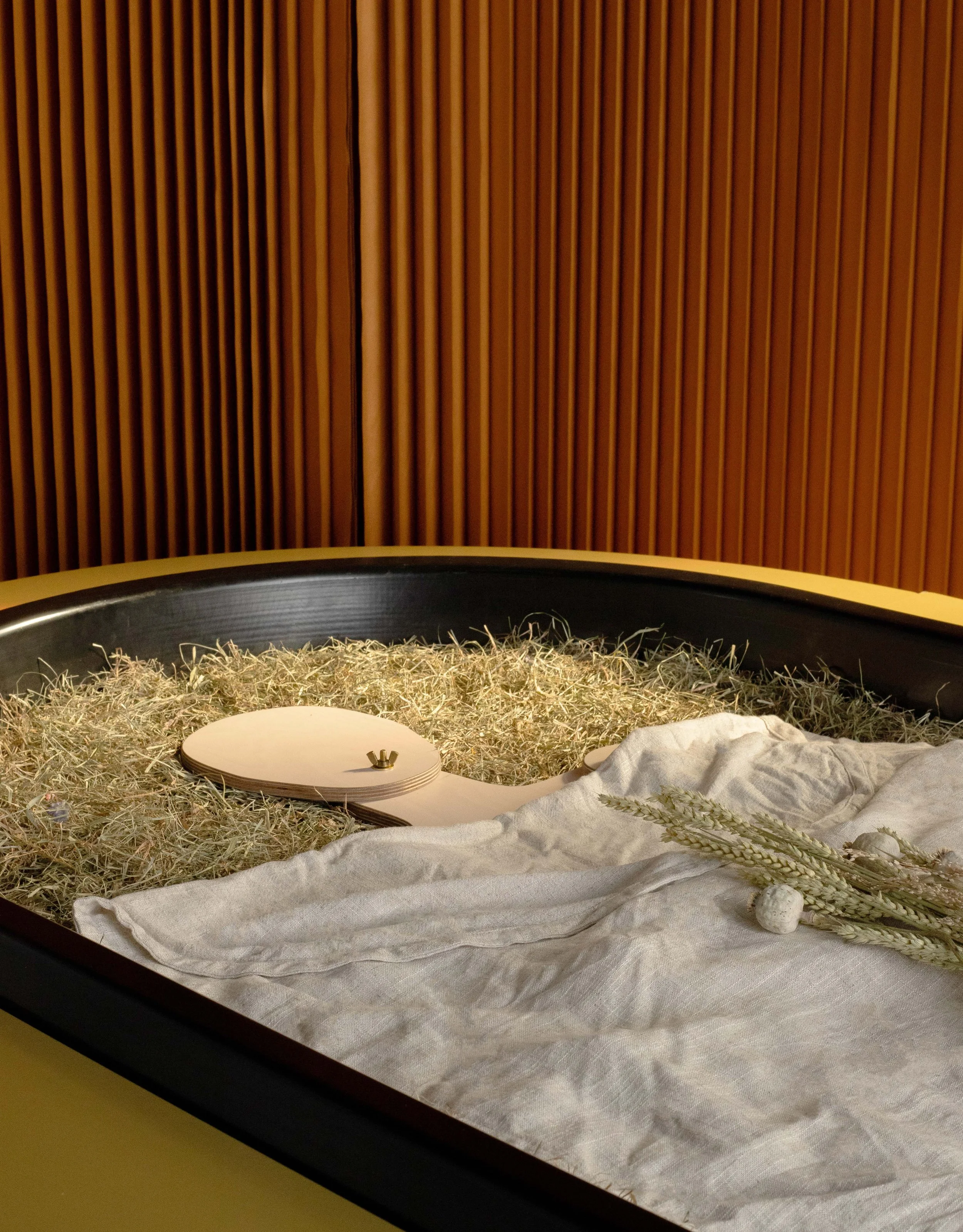 Erfahrungsbericht | MEINE ERDE