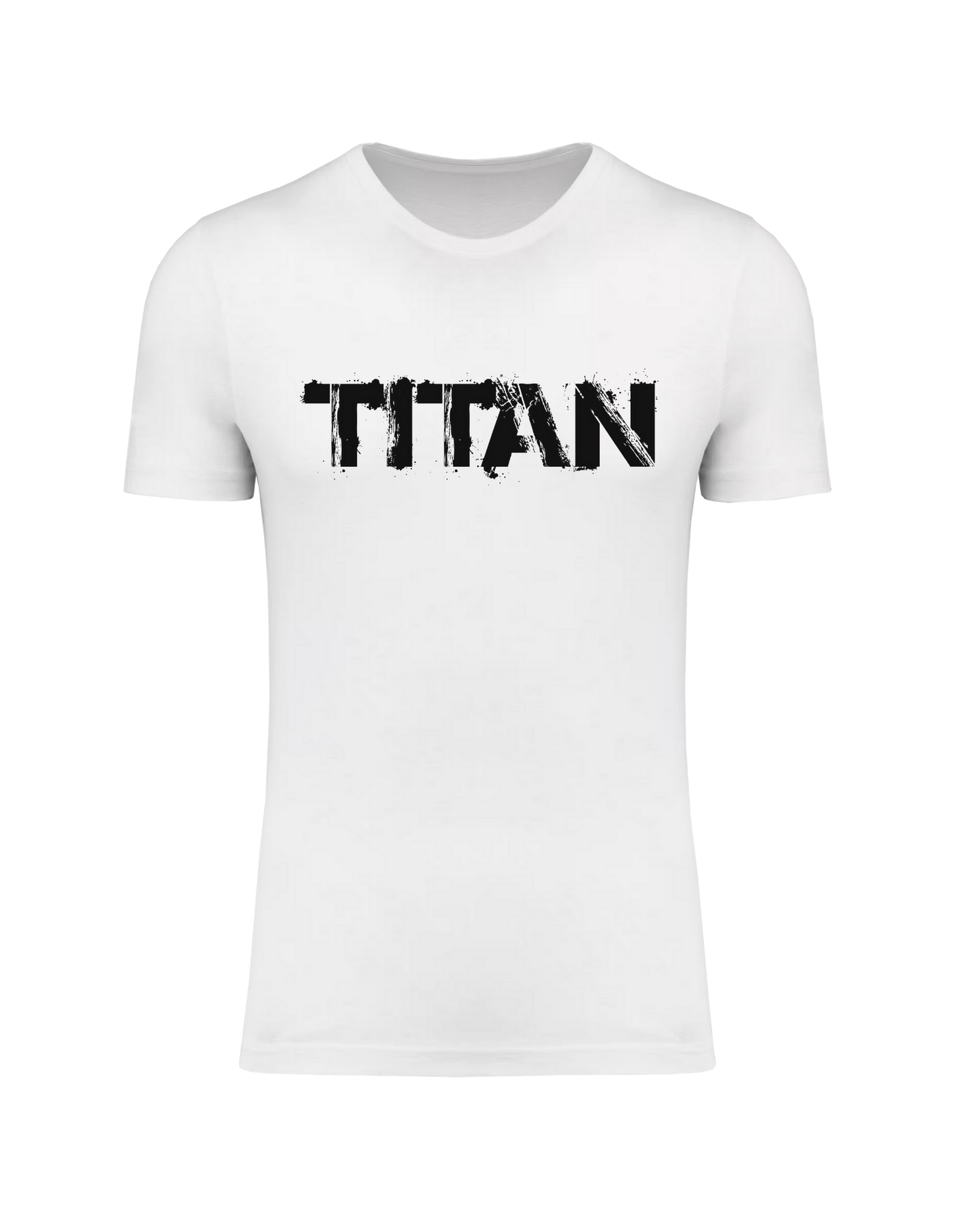 TSHIRT TRIBLEND HOMME