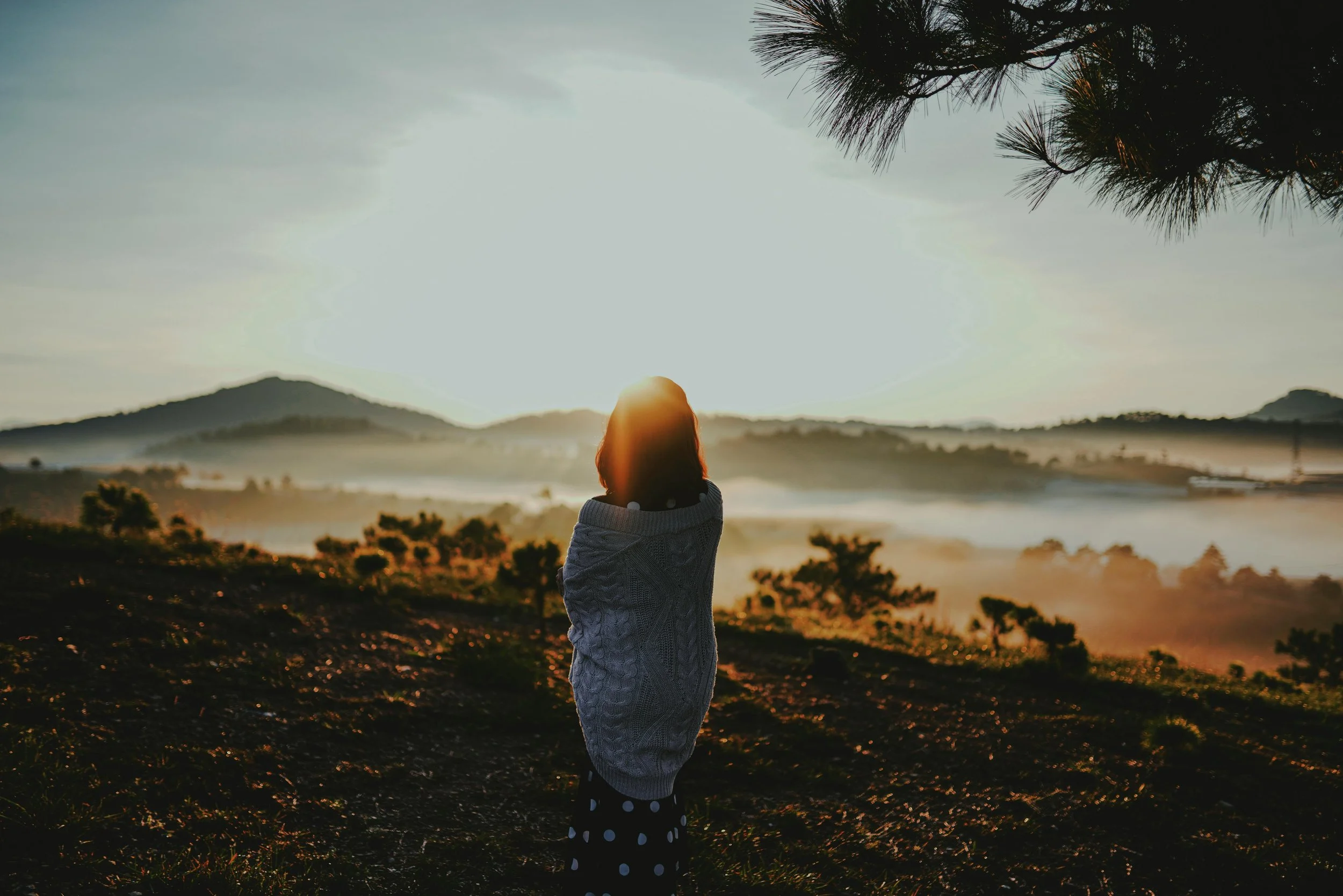 Free 30-Minute Consultation.jpg