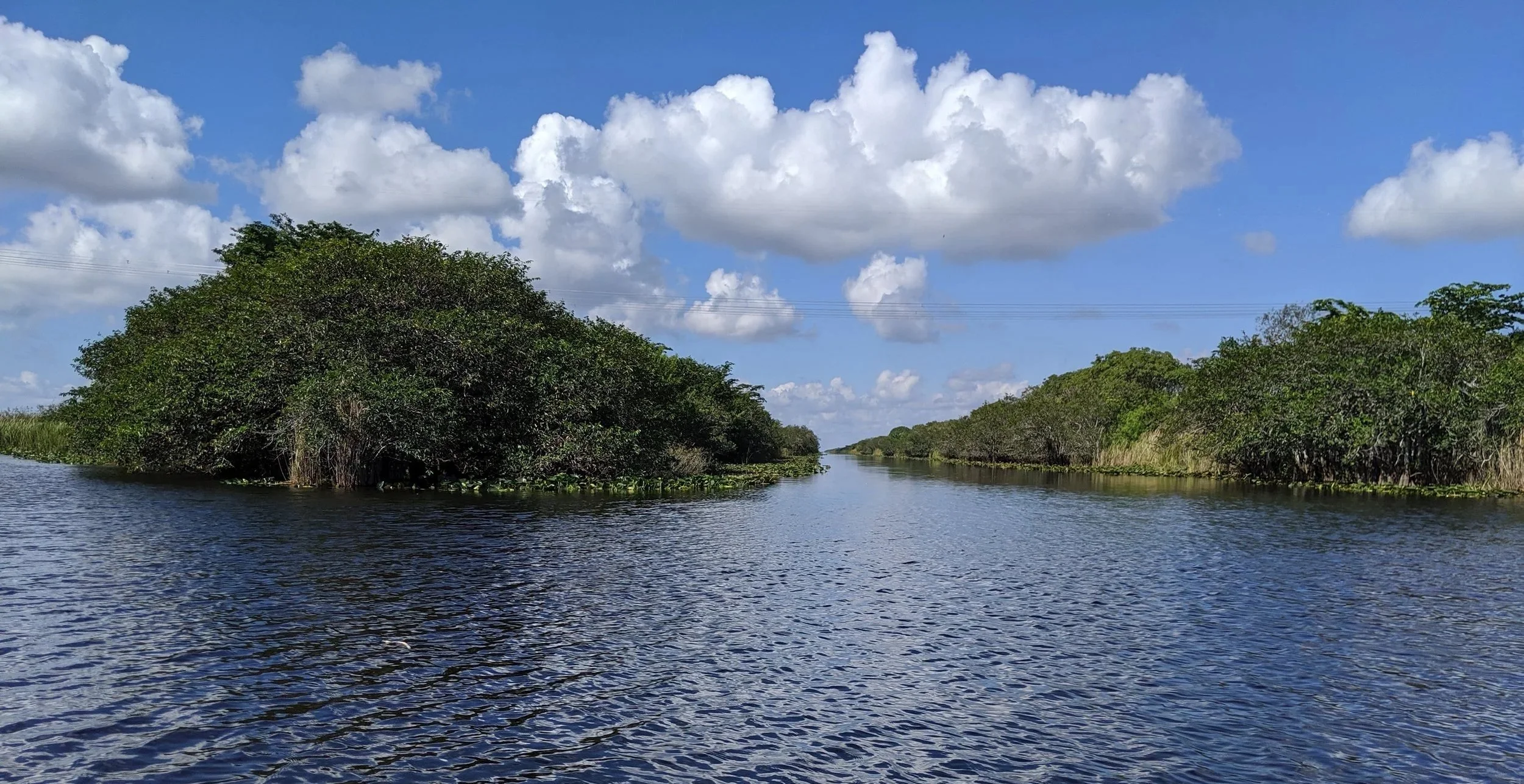 A river or canal with calm water, surrounded by lush green vegetation and trees on both sides, under a bright blue sky with fluffy white clouds.