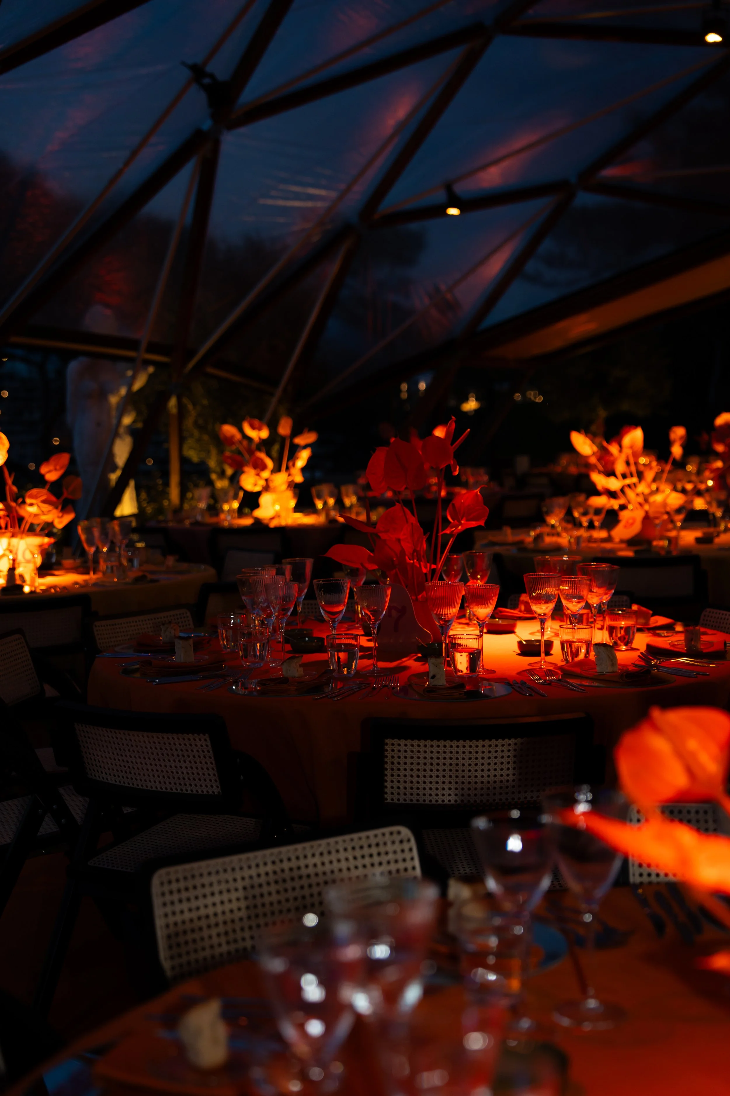 A nighttime scene of a dinner event with tables decorated with red flowers and glassware, under a transparent domed ceiling with a cloudy sky outside.