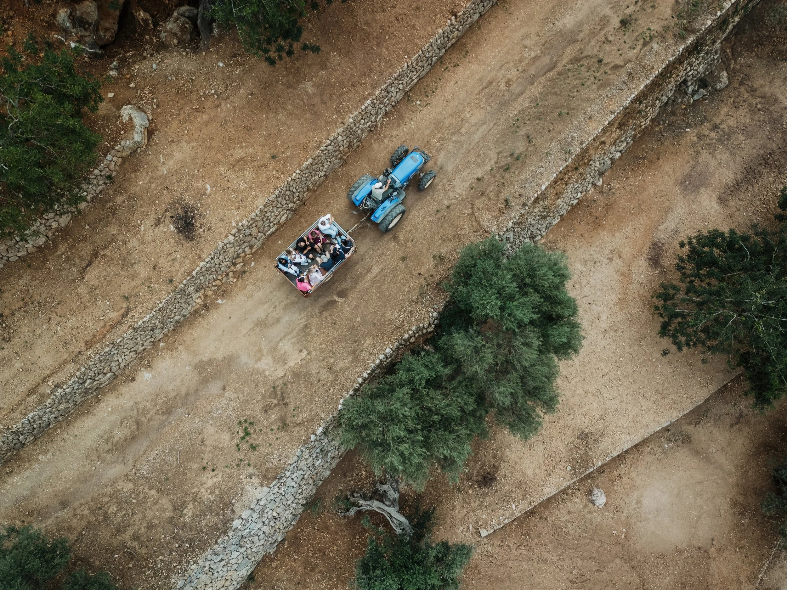 An aerial view of a blue tractor pulling a small open trailer with several people sitting inside, traveling along a dirt path flanked by stone walls and trees.