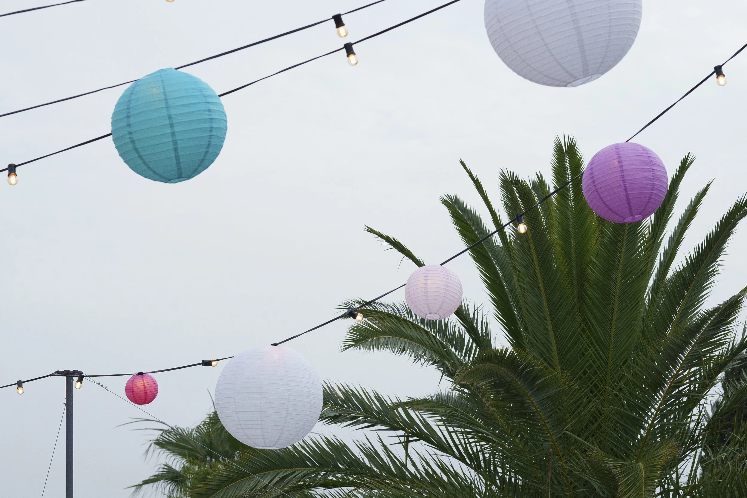Colorful paper lanterns hanging on strings above a palm tree during daytime.