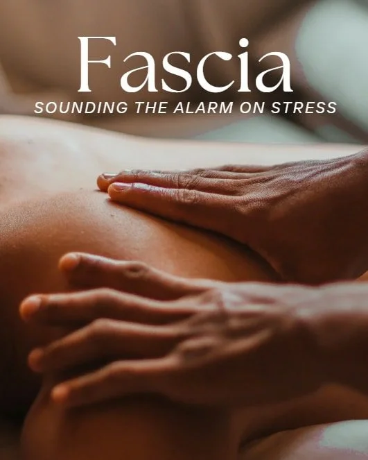 If all the self-care in the world isn't bringing relief, here's something you should know:

Restricted fascia can trap you in fight, flight, or freeze mode. 

Fascia contains about 250 million nerve endings. Many of these connect directly to your vag