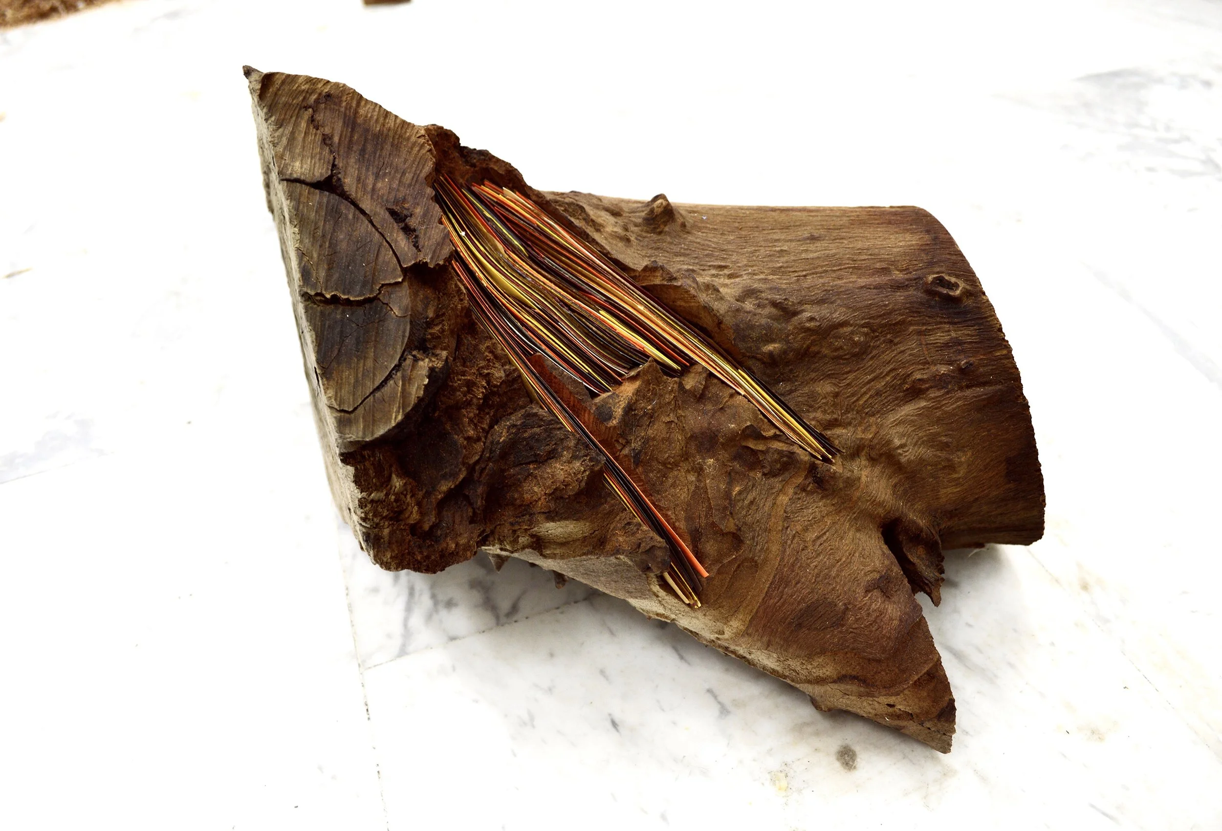 Saved by the fire - Copy.JPG