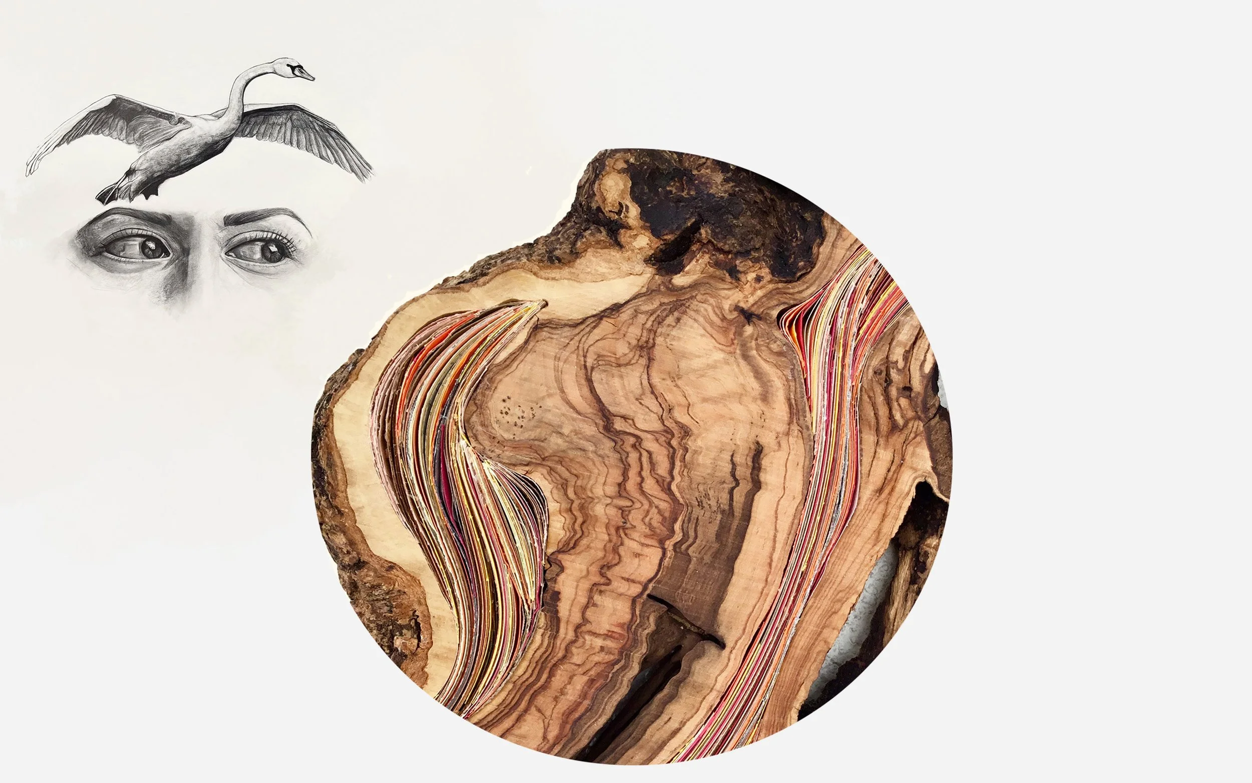 Homepage composition featuring artworks by Katerina Papalamprianou.