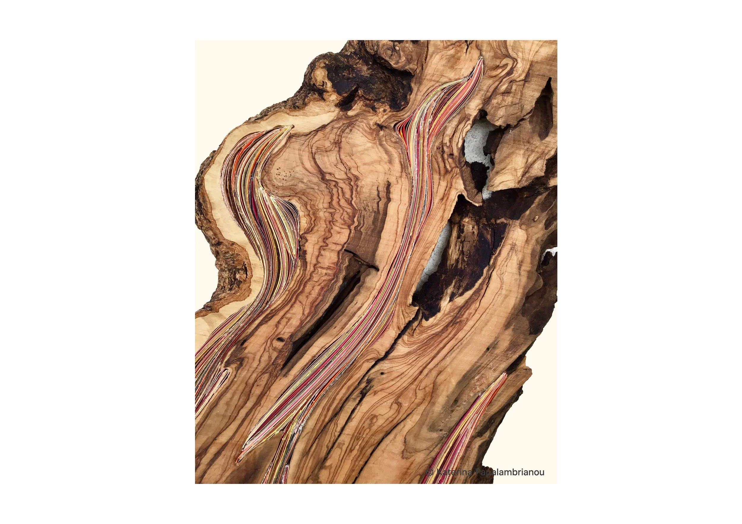 detail for website-with watermark.jpg