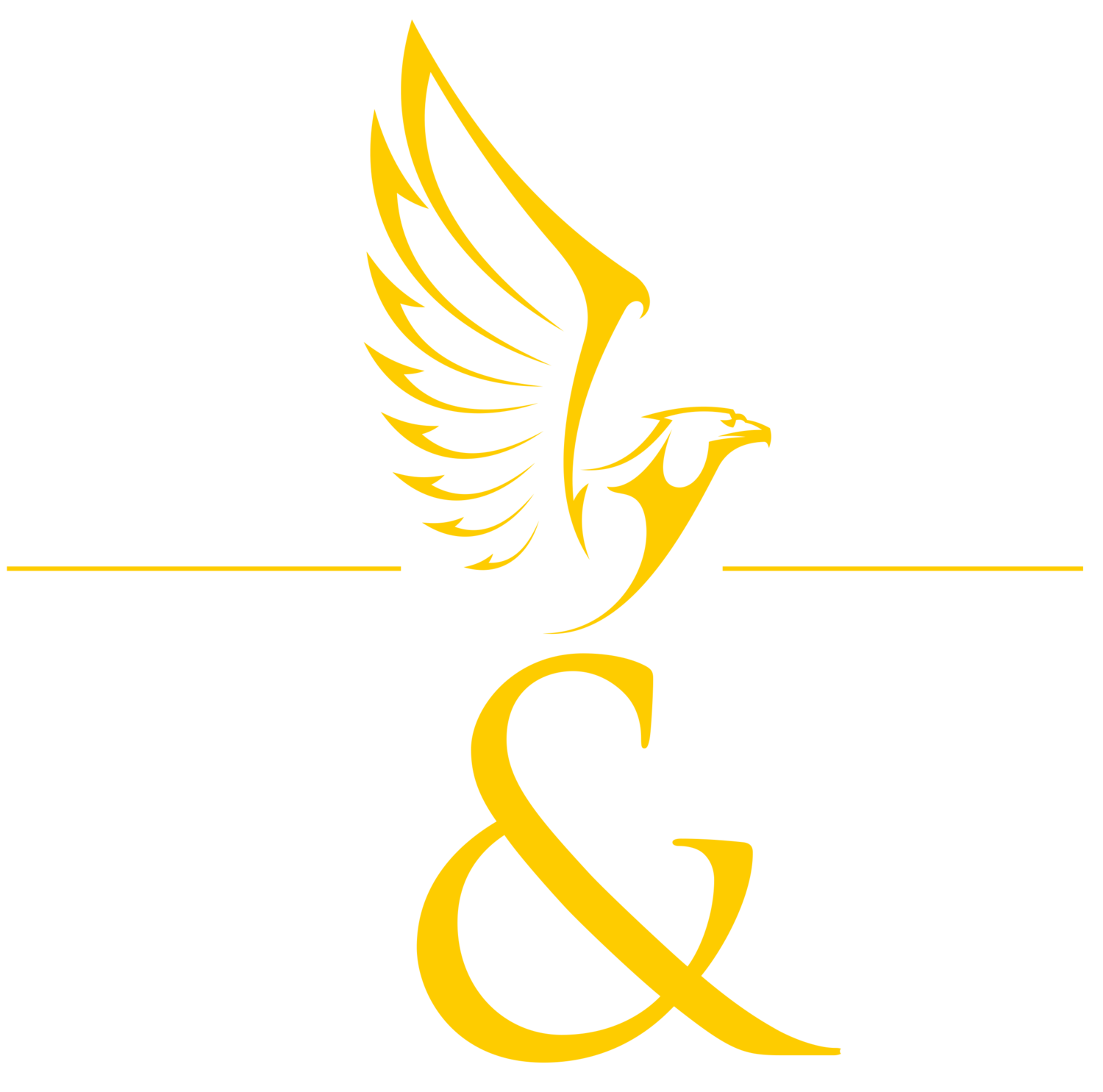 Hayward &amp; Partners Training