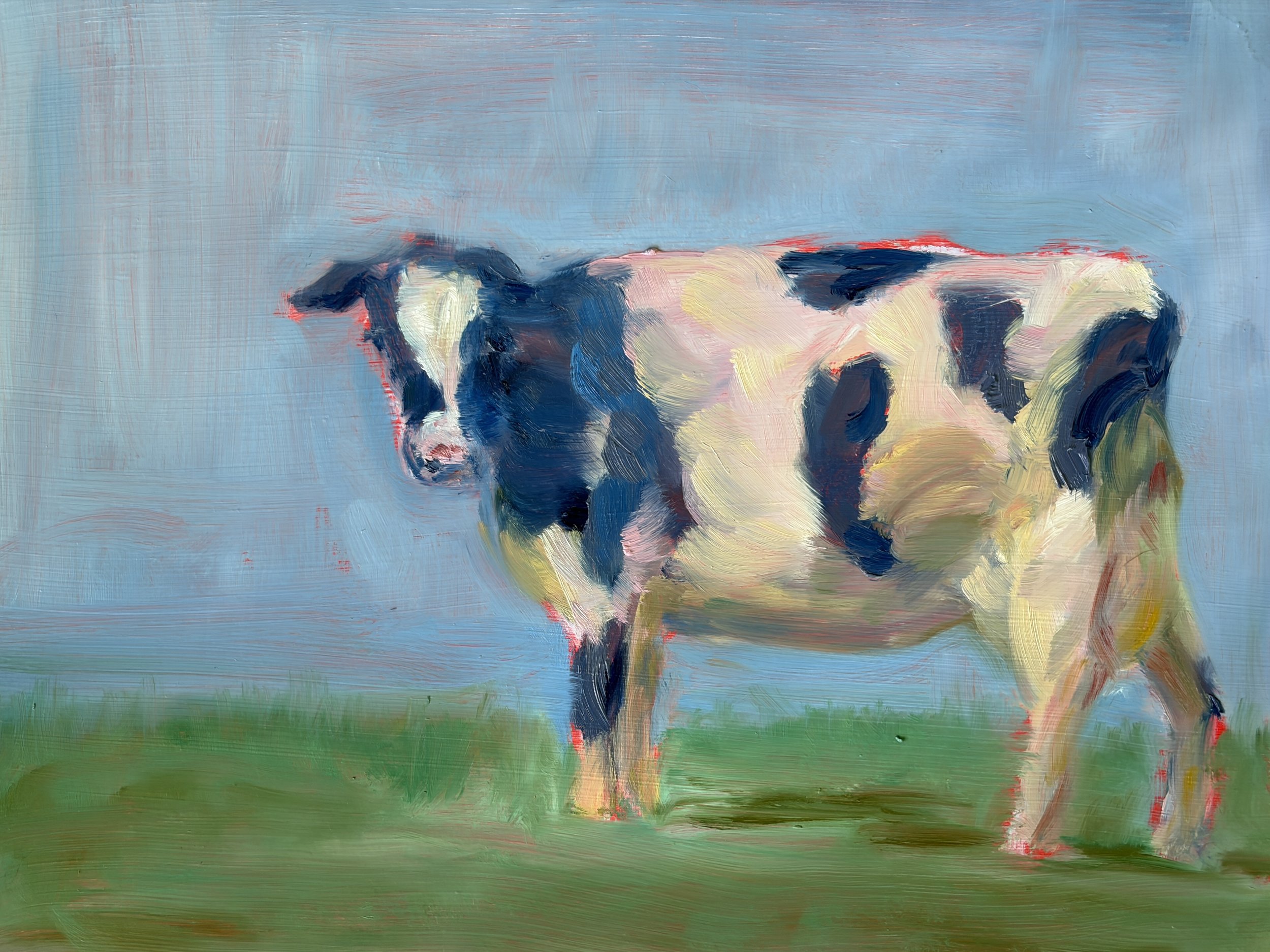 Oil Paintings