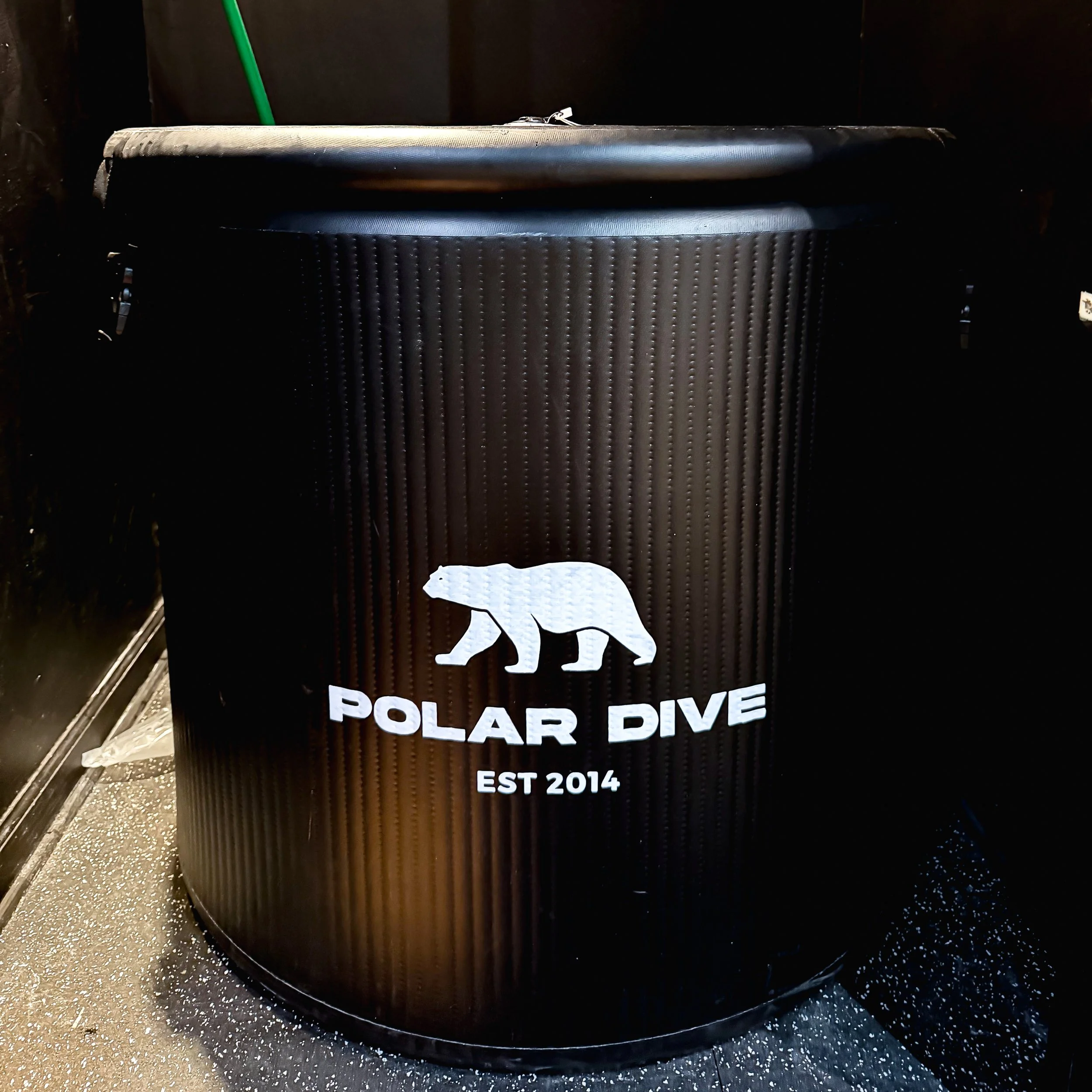 Cold Plunge with a Polar Bear logo and the words 'POLAR DIVE' and 'EST 2014' printed in white.