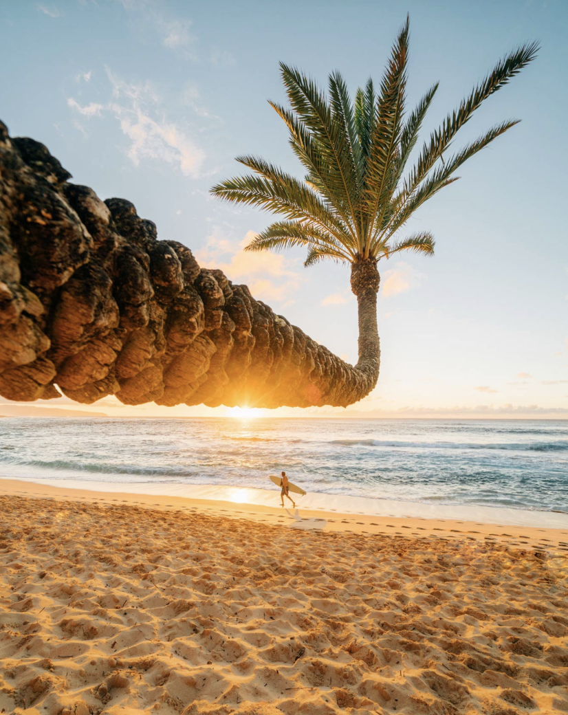 A tropical beach scene with a large palm tree that appears to be growing from a rocky formation extending from the sand toward the sky. The setting sun on the horizon casts a warm glow, and a person holding a surfboard is walking along the shoreline near the waves.