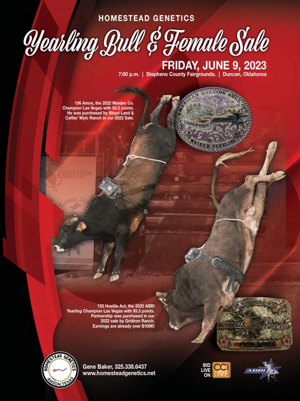 Poster advertising the Homestead Genetics Yearling Bull and Female Sale scheduled for June 9, 2023, at the Stephens County Fairgrounds in Duncan, Oklahoma. The poster features two deceased bulls, one black and one gray, lying on a red background. There is a large silver belt buckle with elaborate designs and the words "2022 Maiden Yearling" and "Champion". Additional text provides details about specific bulls, sales, and contact information for Gene Baker.