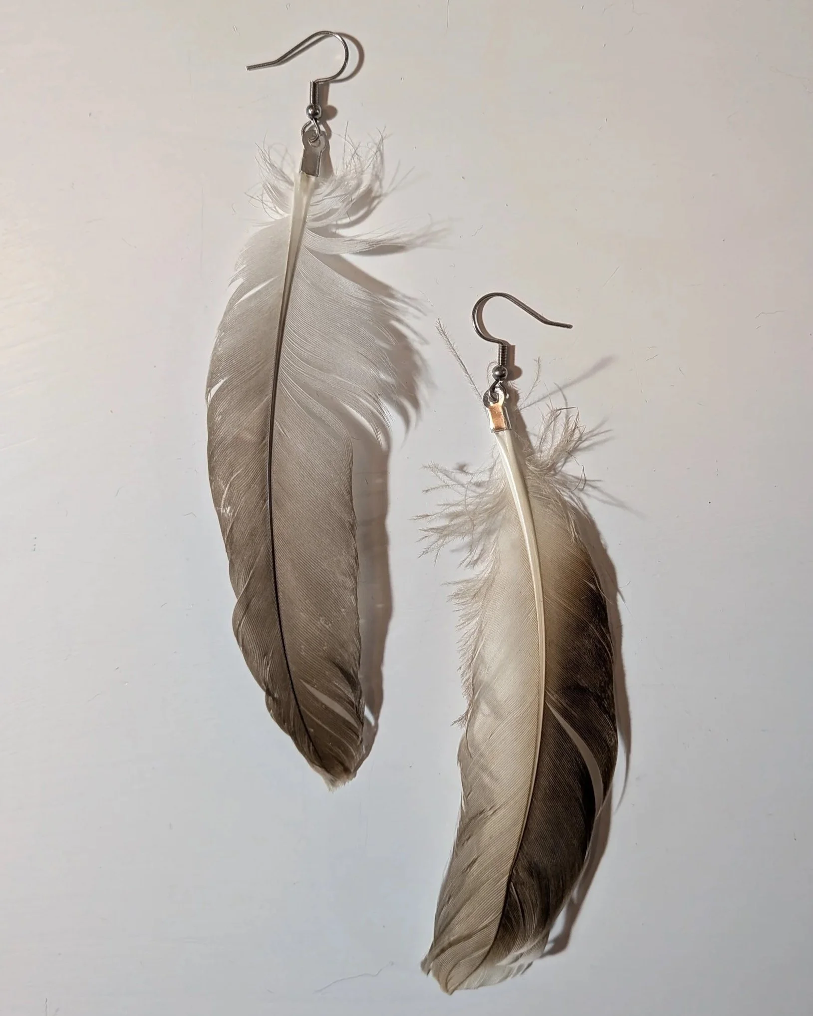 Genuine Feather Earrings