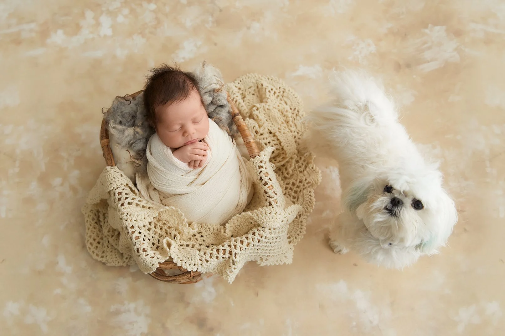 A newborn baby wrapped in white blanket sleeping in a wicker basket surrounded by knitted cream-colored blankets, with a small white fluffy dog standing beside the basket on a beige mottled floor.