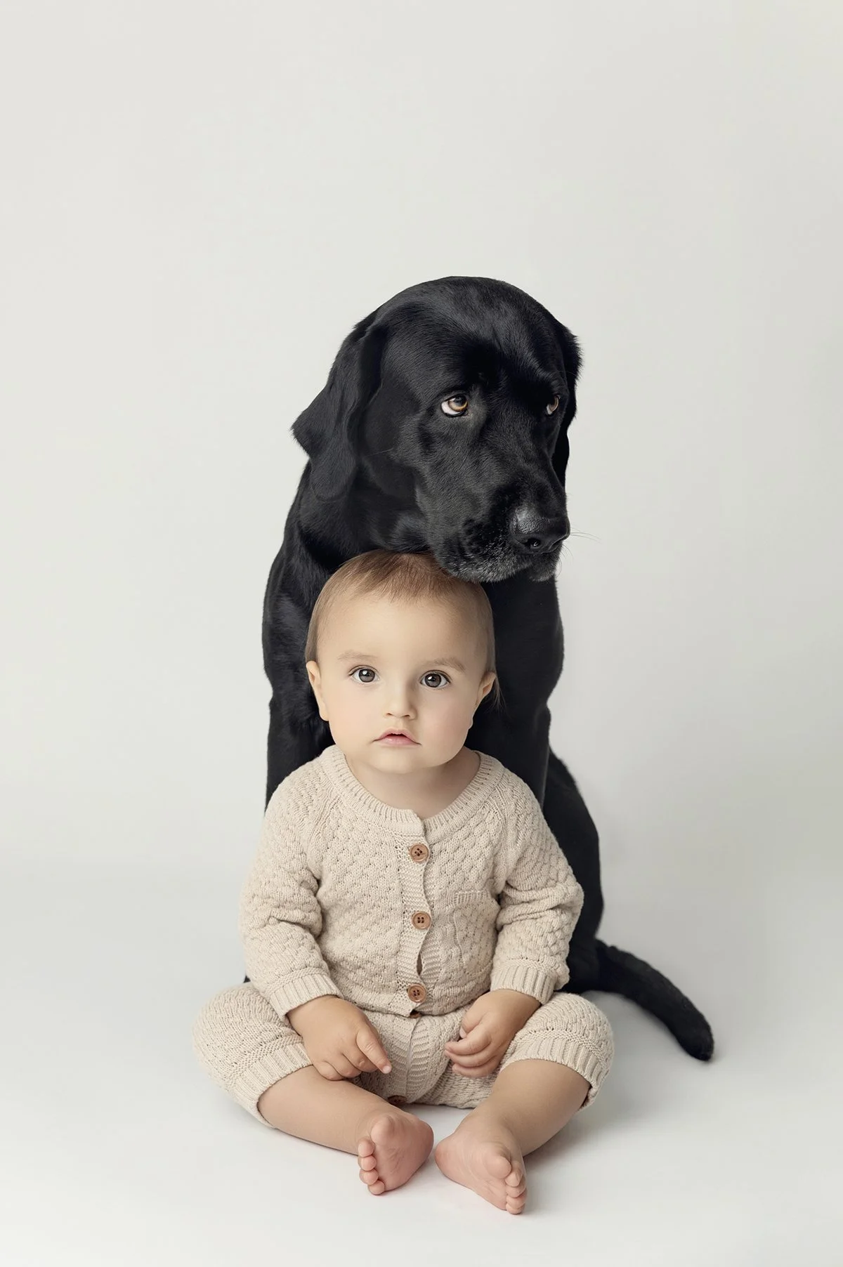 Young child sitting with a large black dog behind him against a plain background.