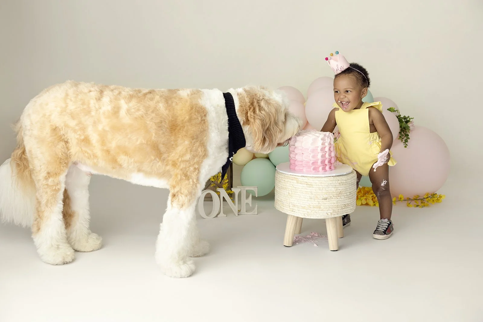 A young girl celebrating her first birthday with a birthday cake and a dog in a decorated studio.