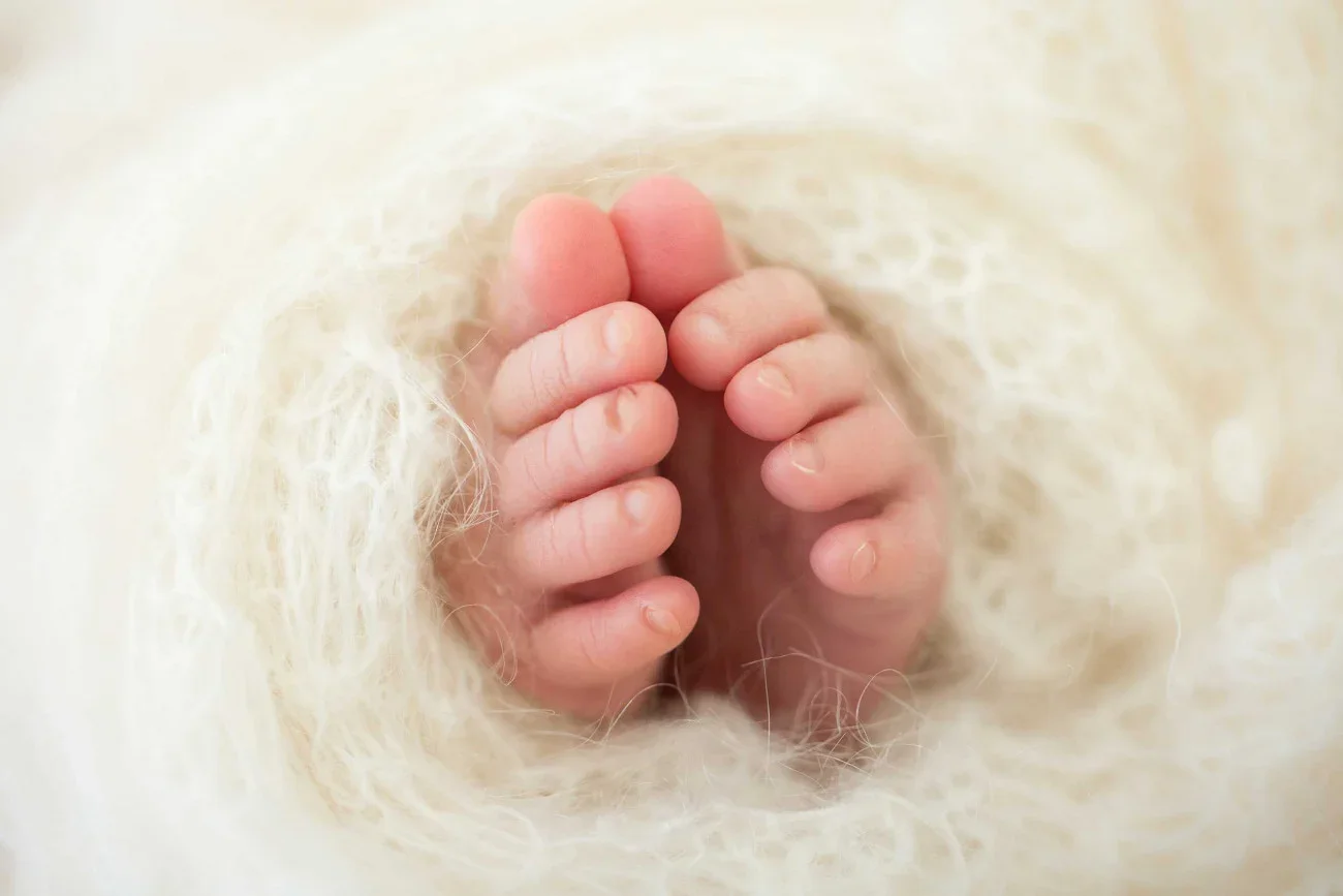 Close-up of tiny baby hands, curled in a gentle fist, with soft, fuzzy white fabric surrounding them.