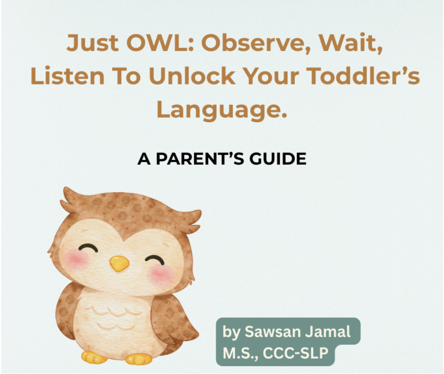 Helping San Antonio Late Talkers 78216: How to Use the OWL Technique at Home