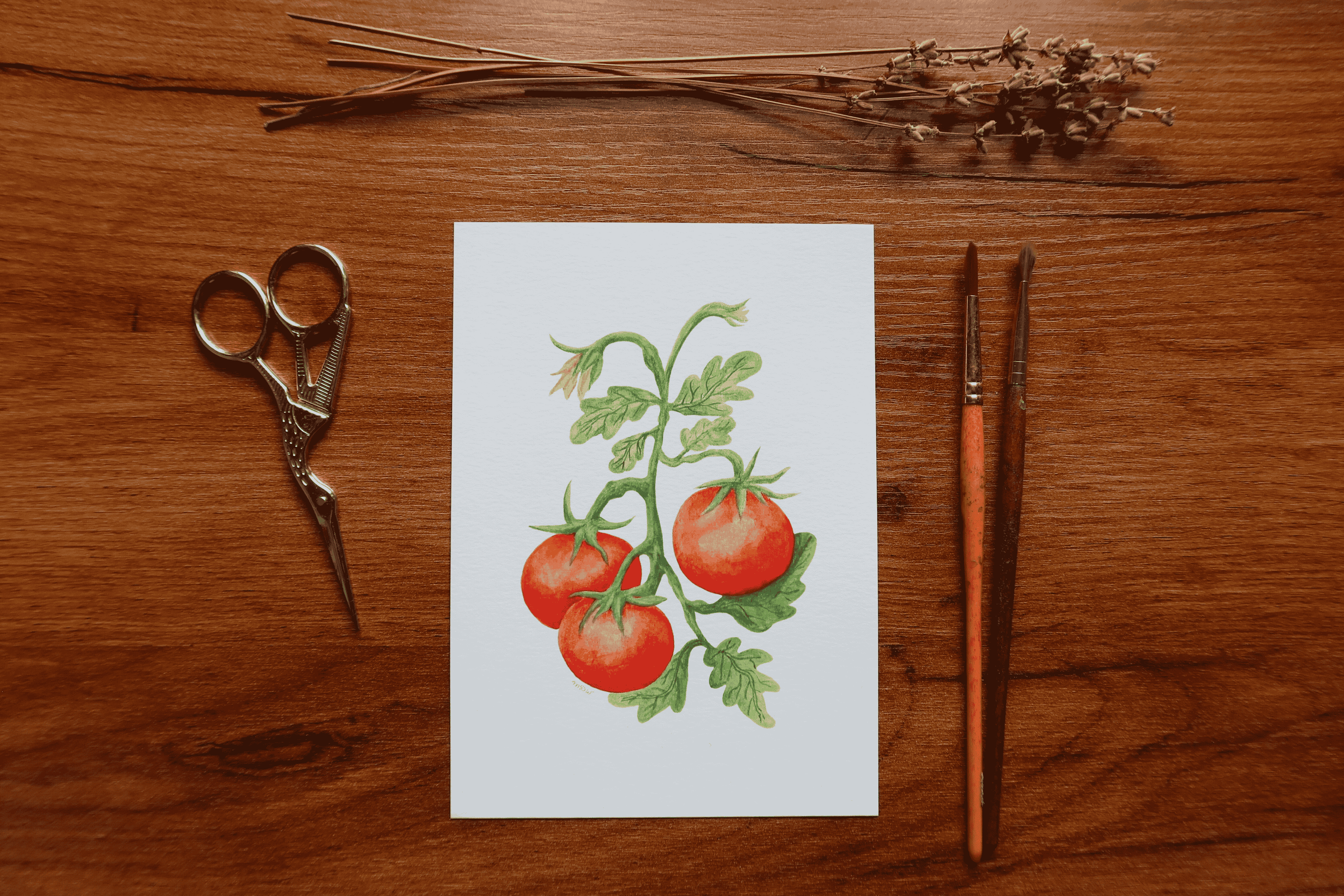 Tomato Vine Print