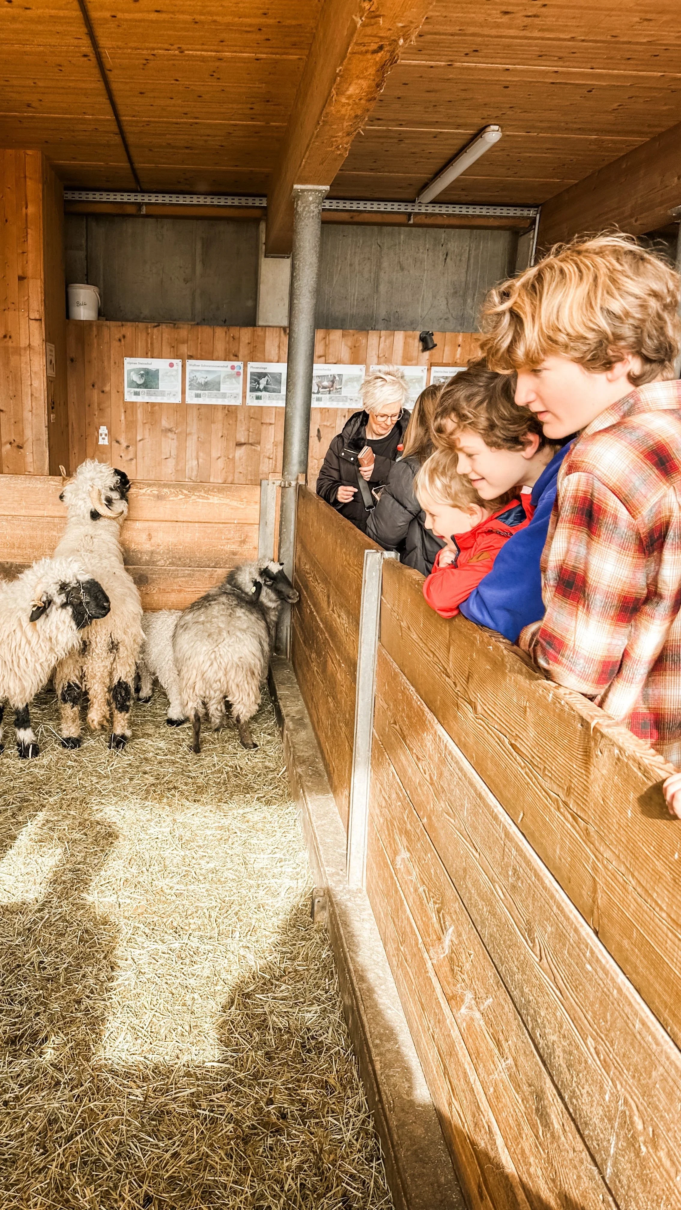 Yes, we take our kids out of school to travel…here’s why!