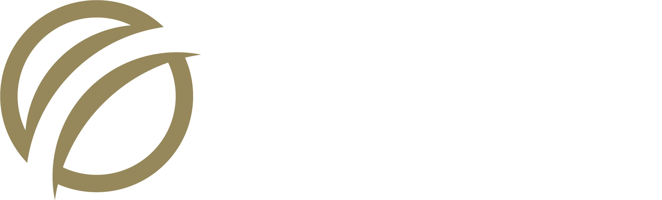 The logo of the Fightery Bridge, featuring an abstract design of two arches in gold to the left and the words 'Fightery Bridge' in white text to the right.