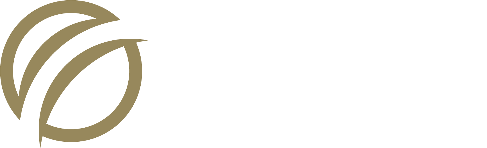 Logo of Fintegridy Bridge with stylized abstract bridge icon in gold and white text.