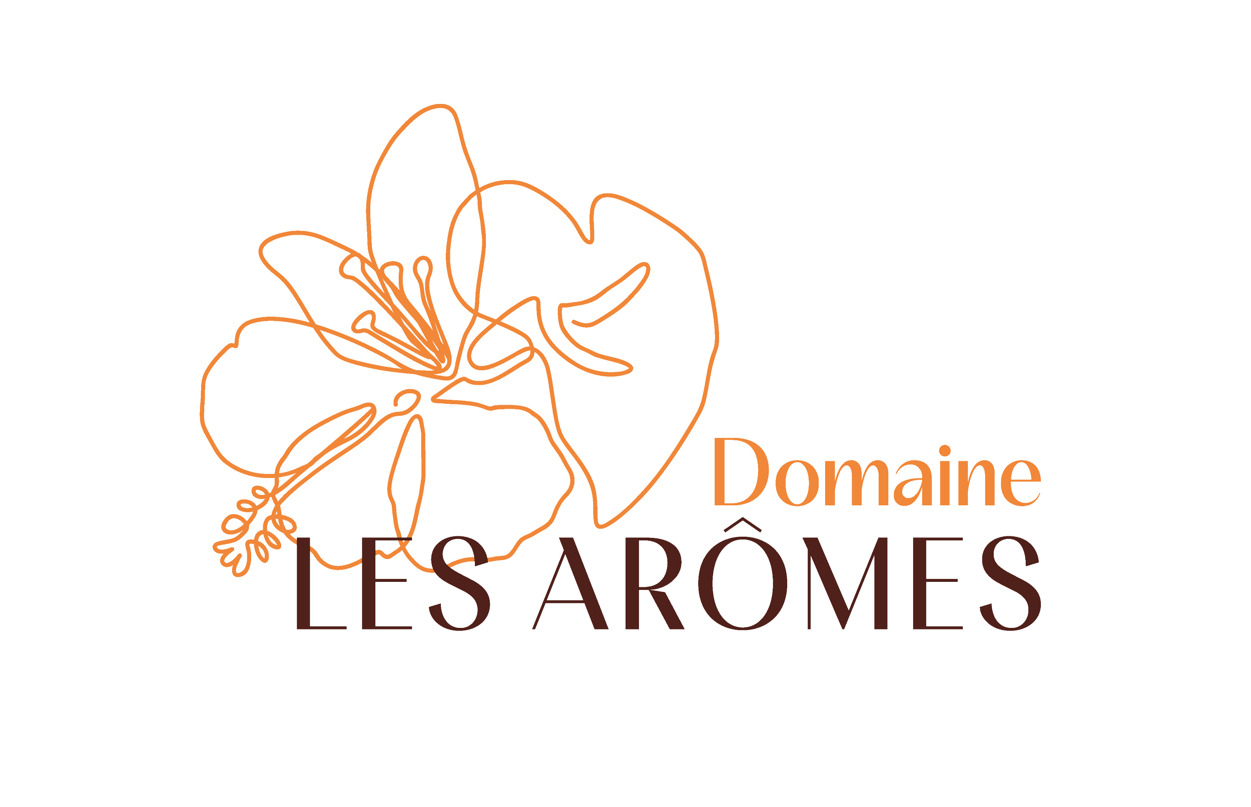 Logo représentant une fleur stylisée en lignes orange avec le texte 'Domaine LES ARÔMES' en dessous, 'Domaine' en orange et 'LES ARÔMES' en brun foncé.