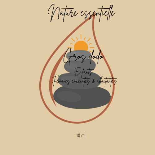 Sticker Gros dodo.png