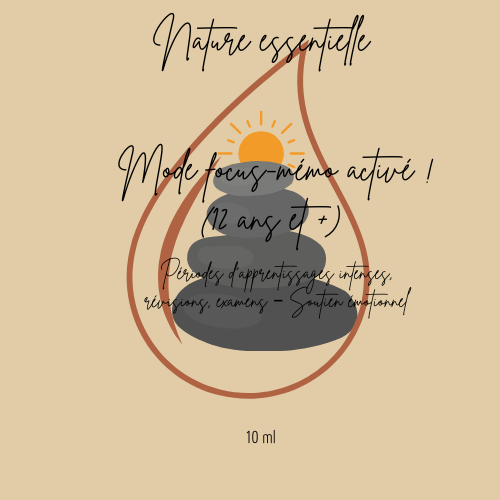 Sticker Focus-mémo.png