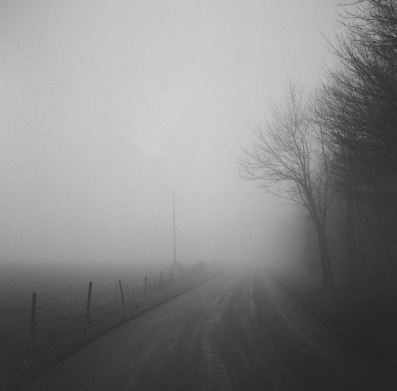 000947590001 Large.jpeg