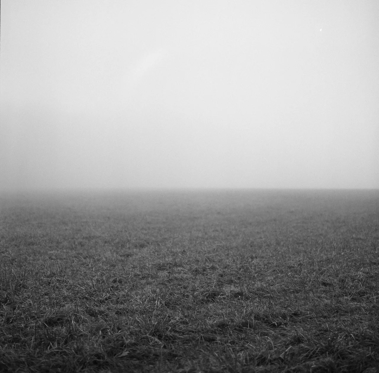 000947590004 Large.jpeg