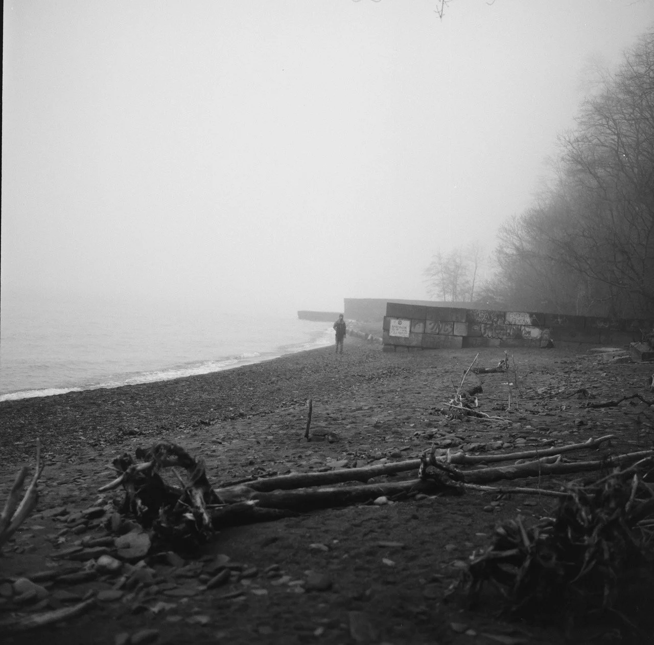 000947590007 Large.jpeg