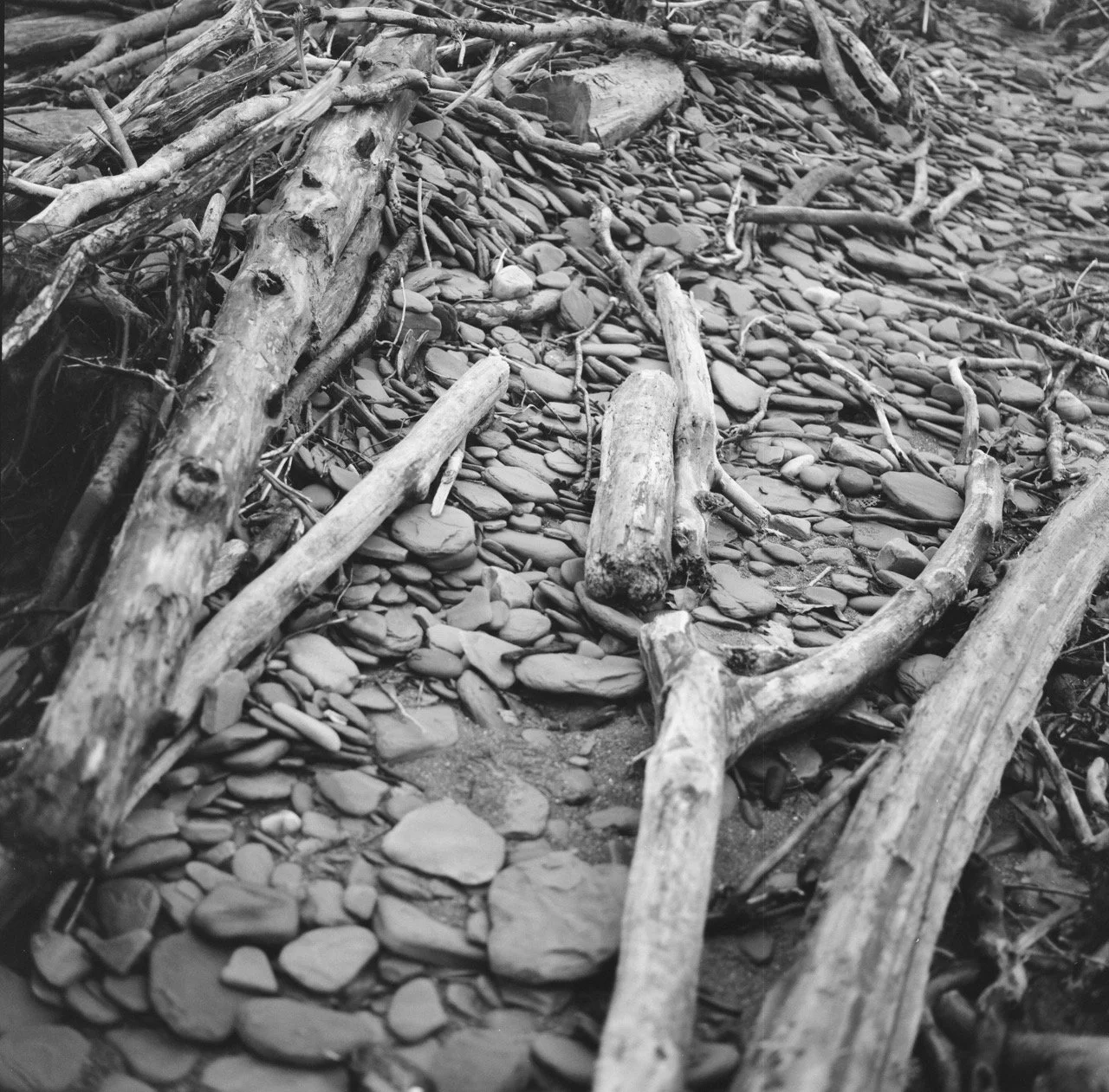 000947590006 Large.jpeg