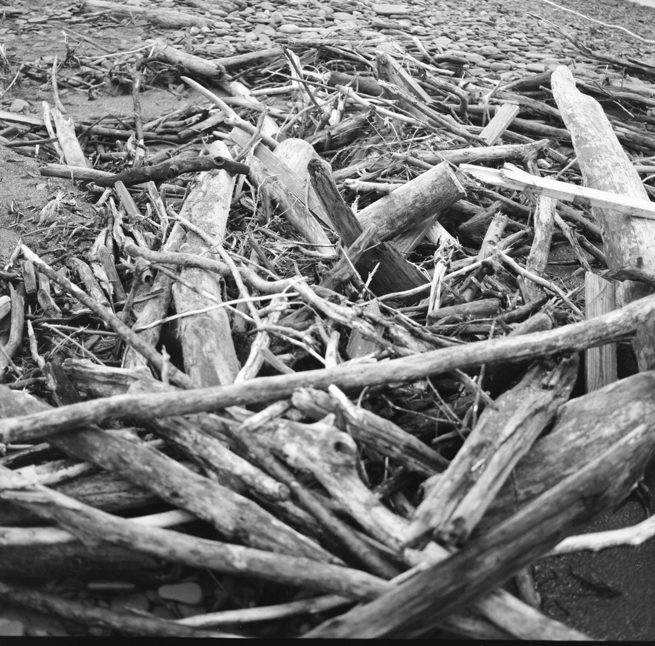 000947590011 Large.jpeg