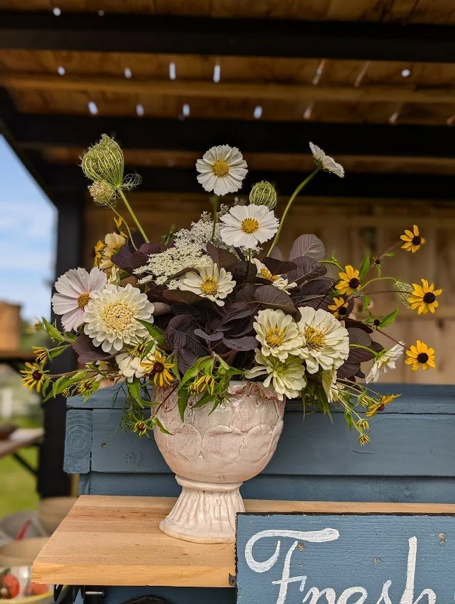 A flower arrangement in a white ceramic vase featuring white, yellow, and dark purple flowers placed on a wooden and blue surface outdoors.