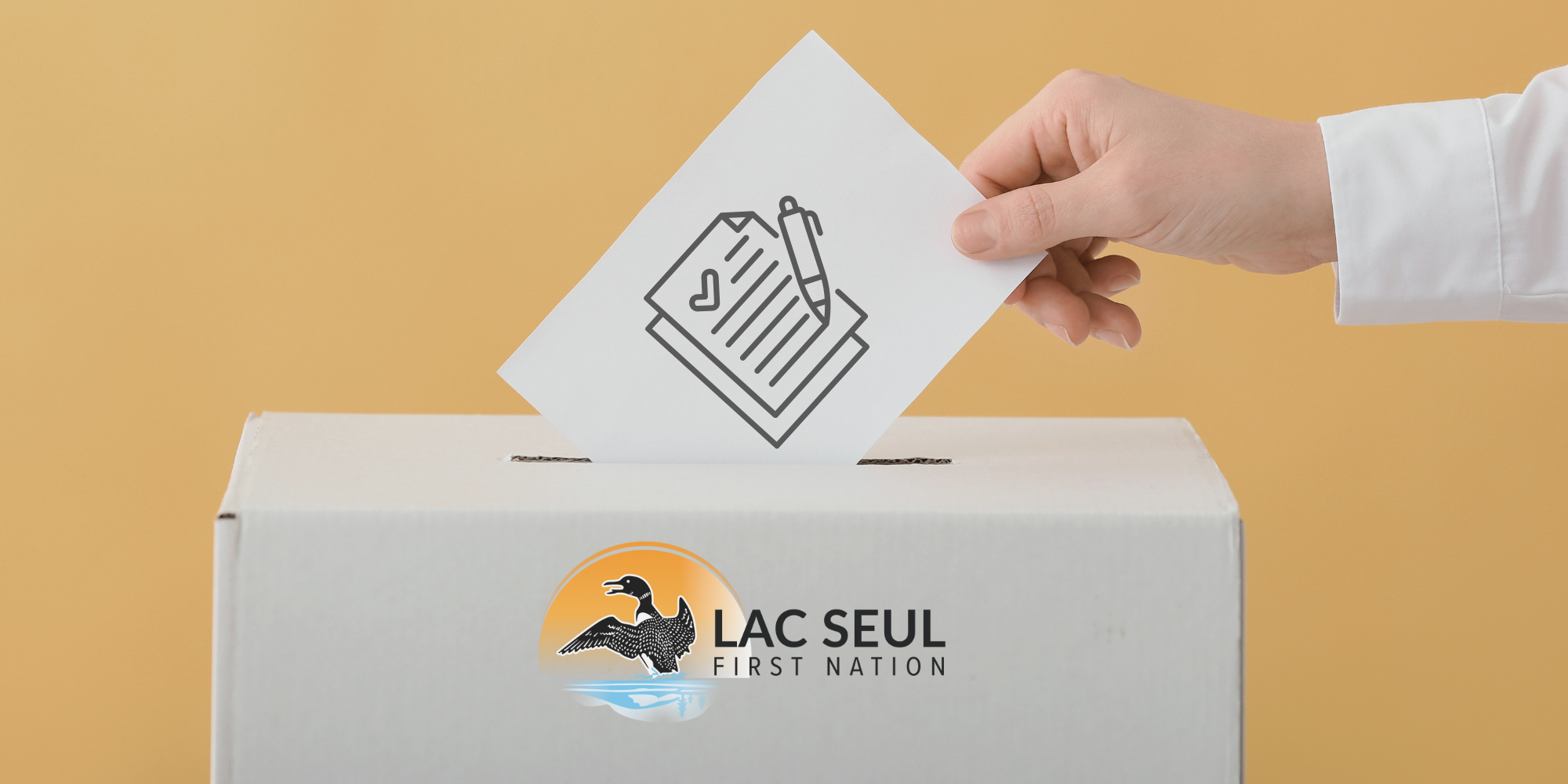 Request for Proposals     head electoral officer
