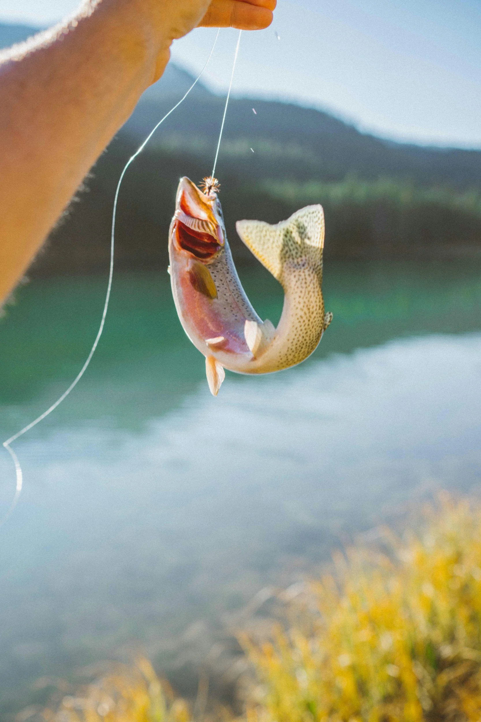 5th Annual End of Summer Walleye Fishing Derby