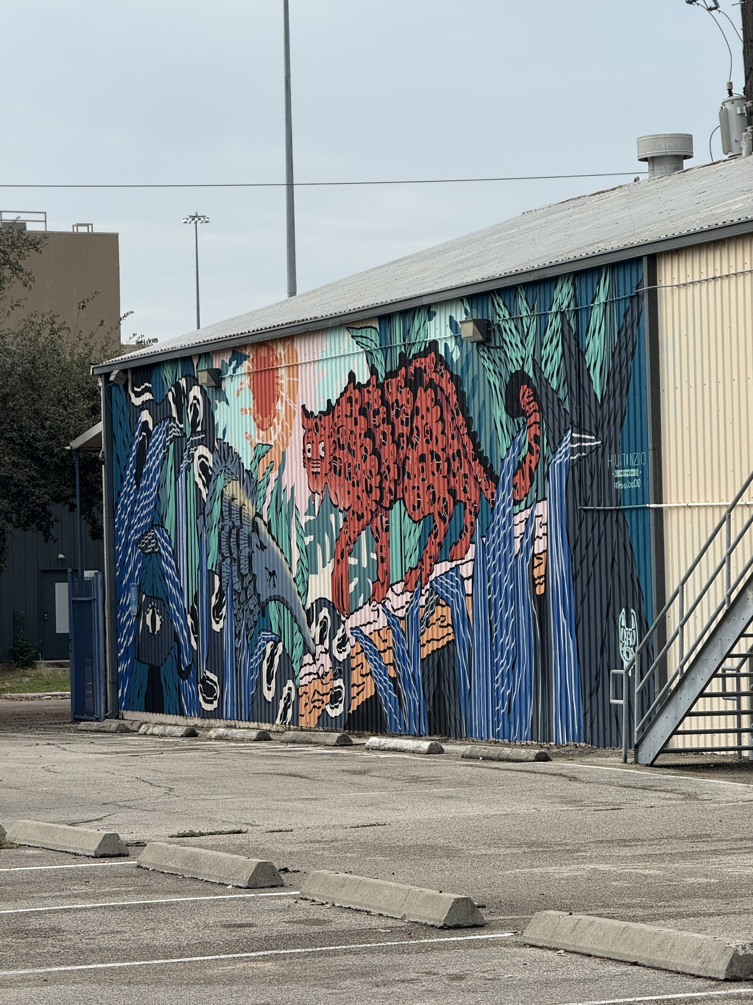 Downtown Houston graffiti art