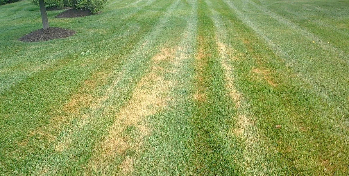 2026-06-17 144251.jpg