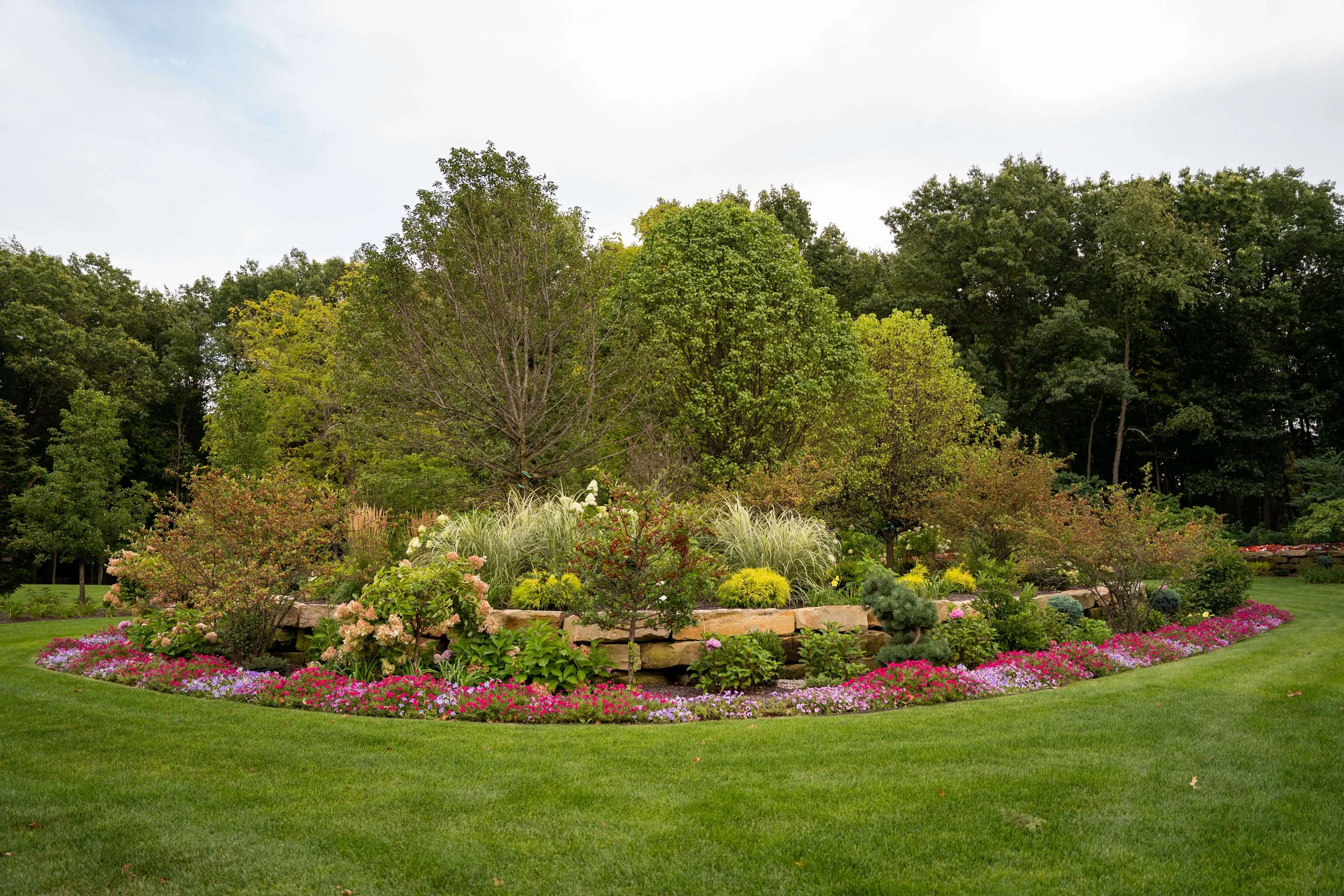 Native Plants, Native Pride: Why Local Flora Belongs in Your Yard