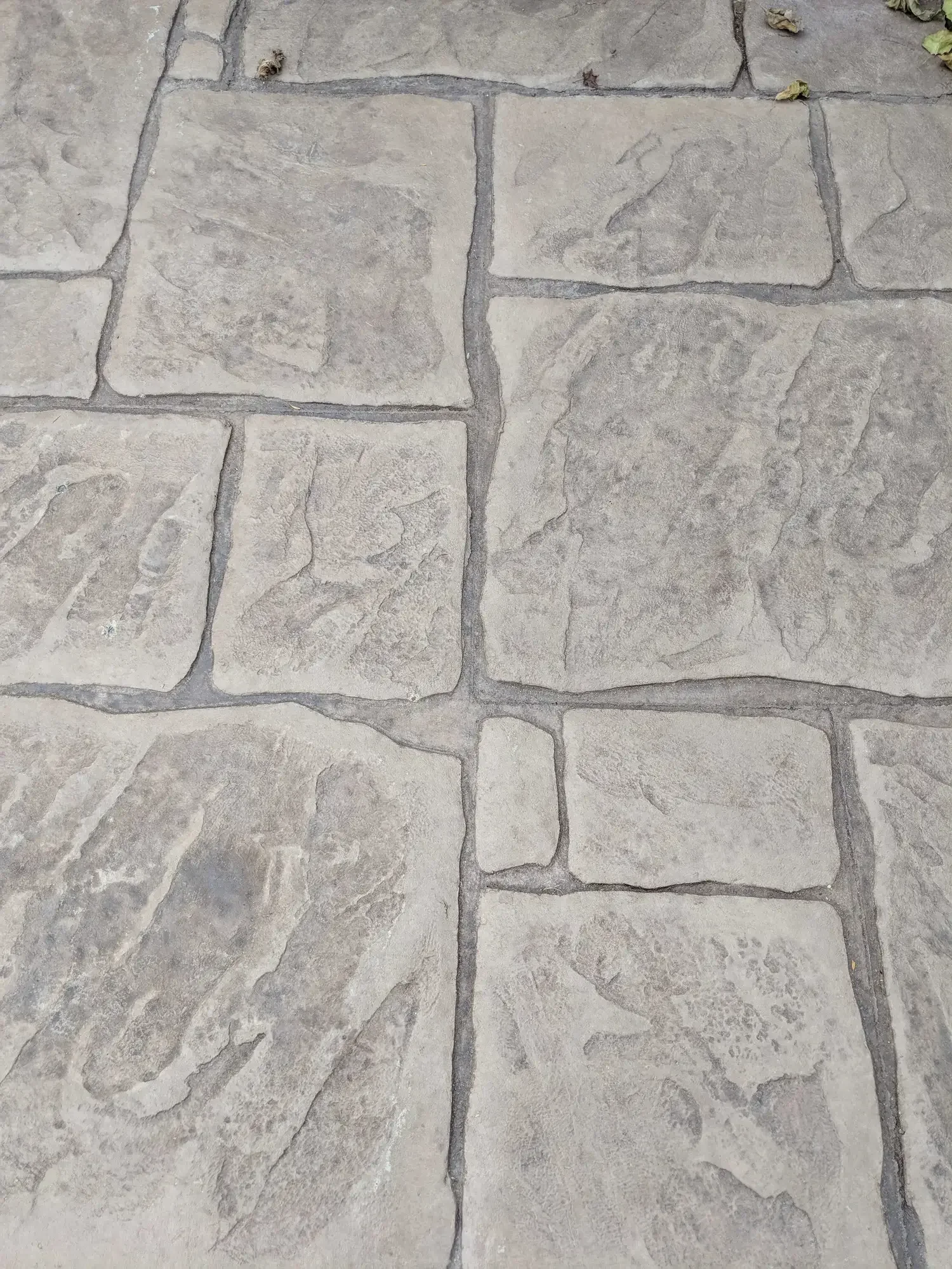 Earthen with Nutmeg Release