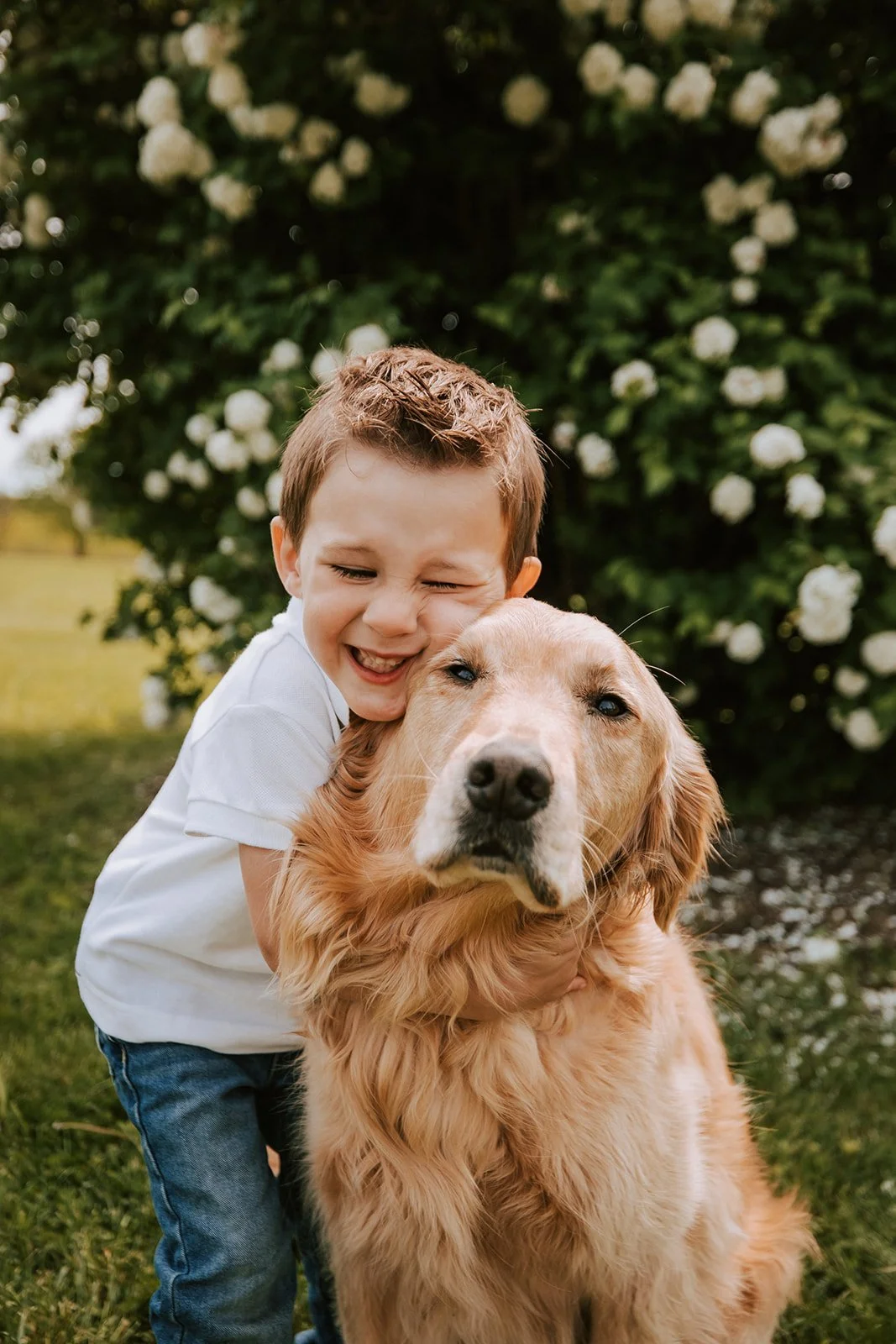 A young boy hugging a golden retriever outdoors in front of a bush with white flowers.
