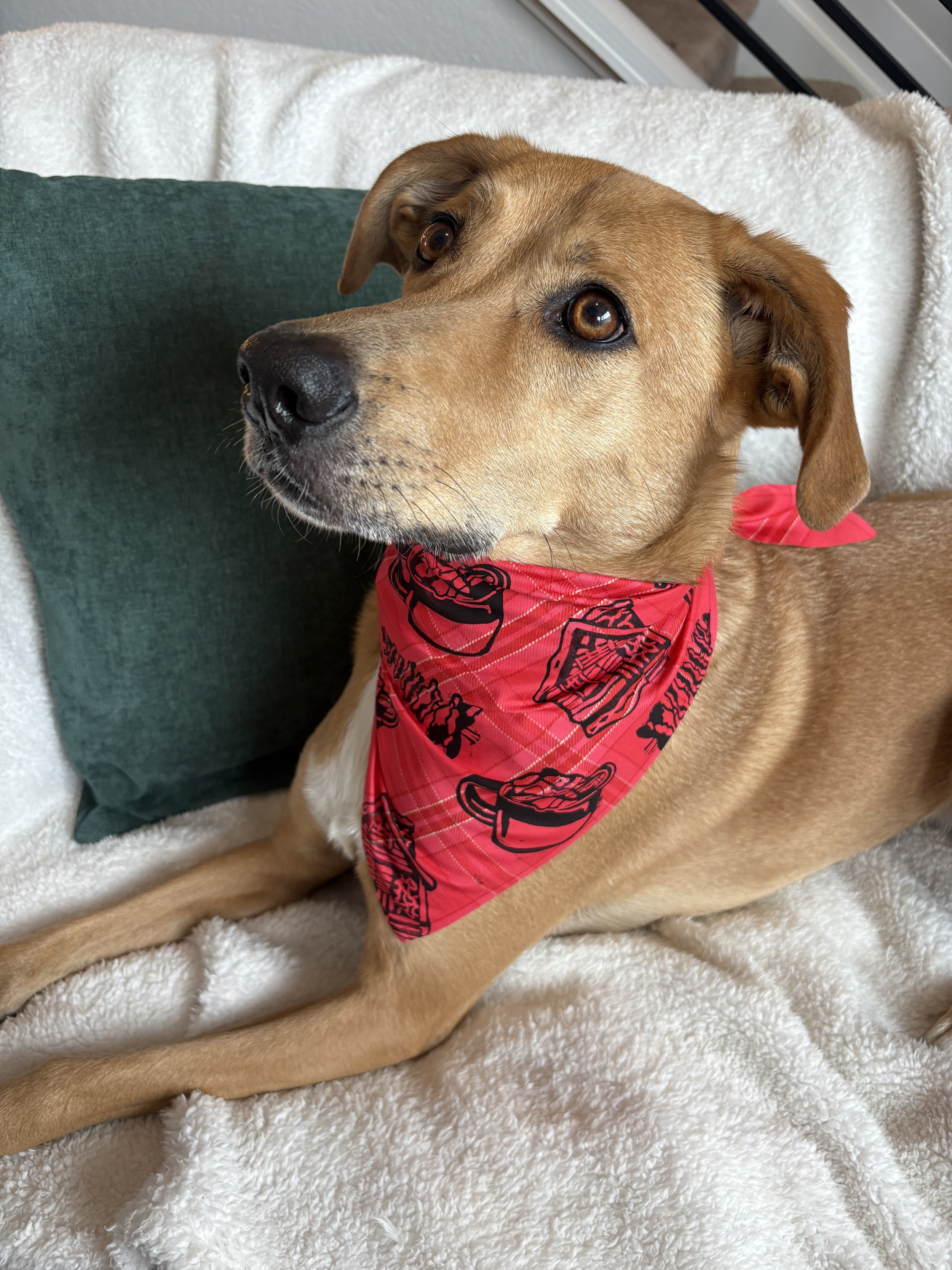 Custom stamped bandana