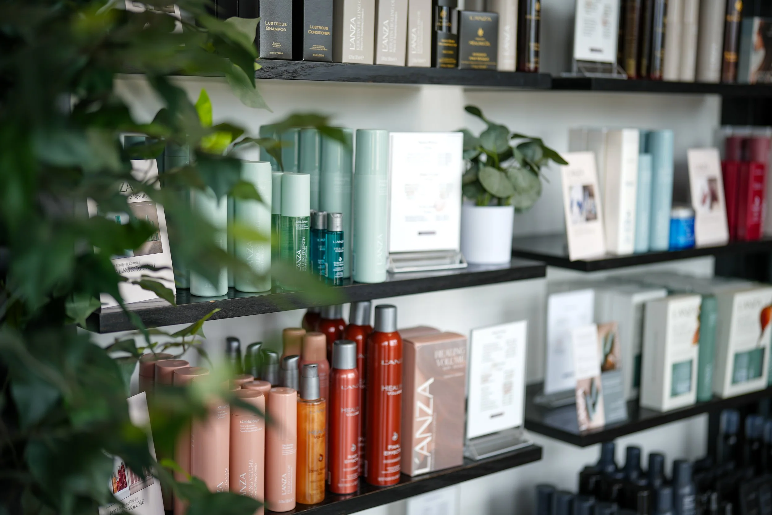 Display of hair care products on black shelves in a store, with bottles in mint green, coral, and other colors, alongside potted plants and books.