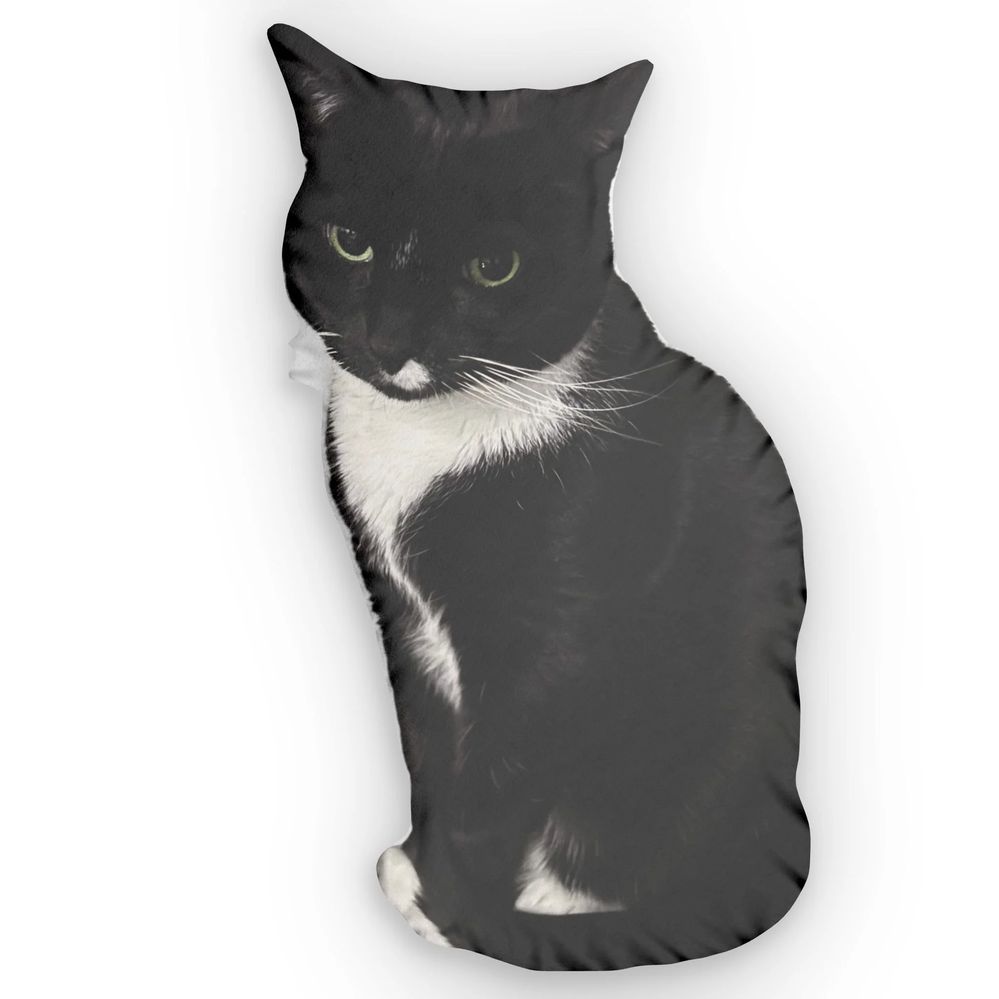 Custom Cat Pillow